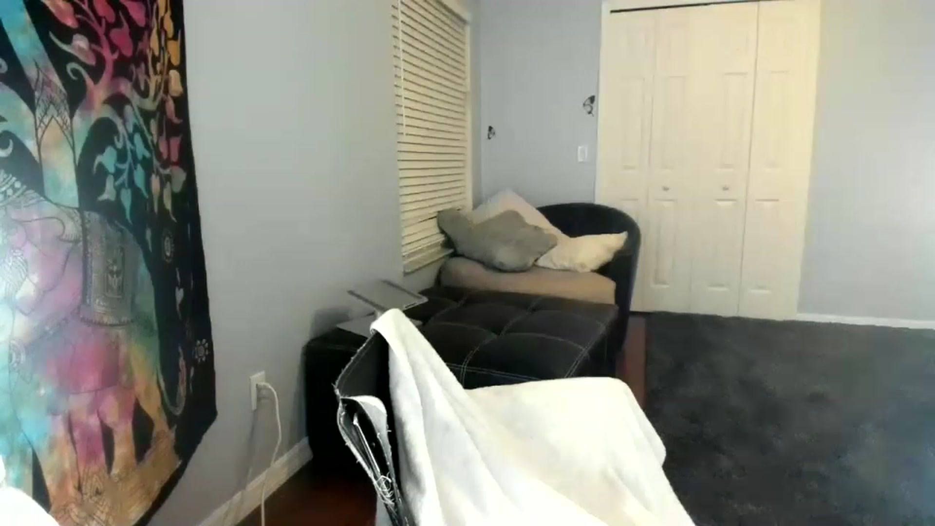 Gallery image thumbnail from Downloads's myfreecams stream on, 07/09/2023, 07:30 image 7 of 20