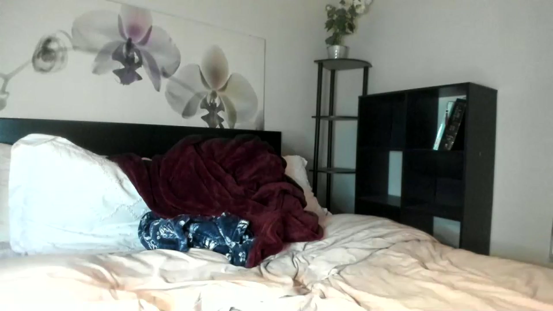 Gallery image thumbnail from Downloads's myfreecams stream on, 07/31/2023, 05:44 image 20 of 20