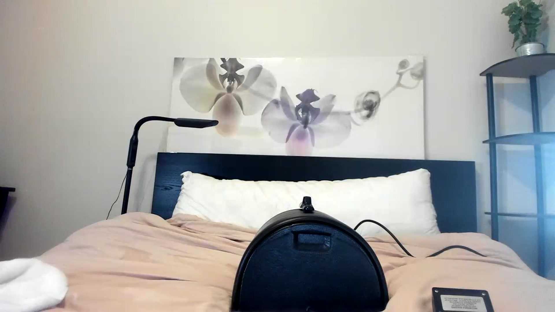 Gallery image thumbnail from Downloads's myfreecams stream on, 09/06/2023, 07:11 image 4 of 20