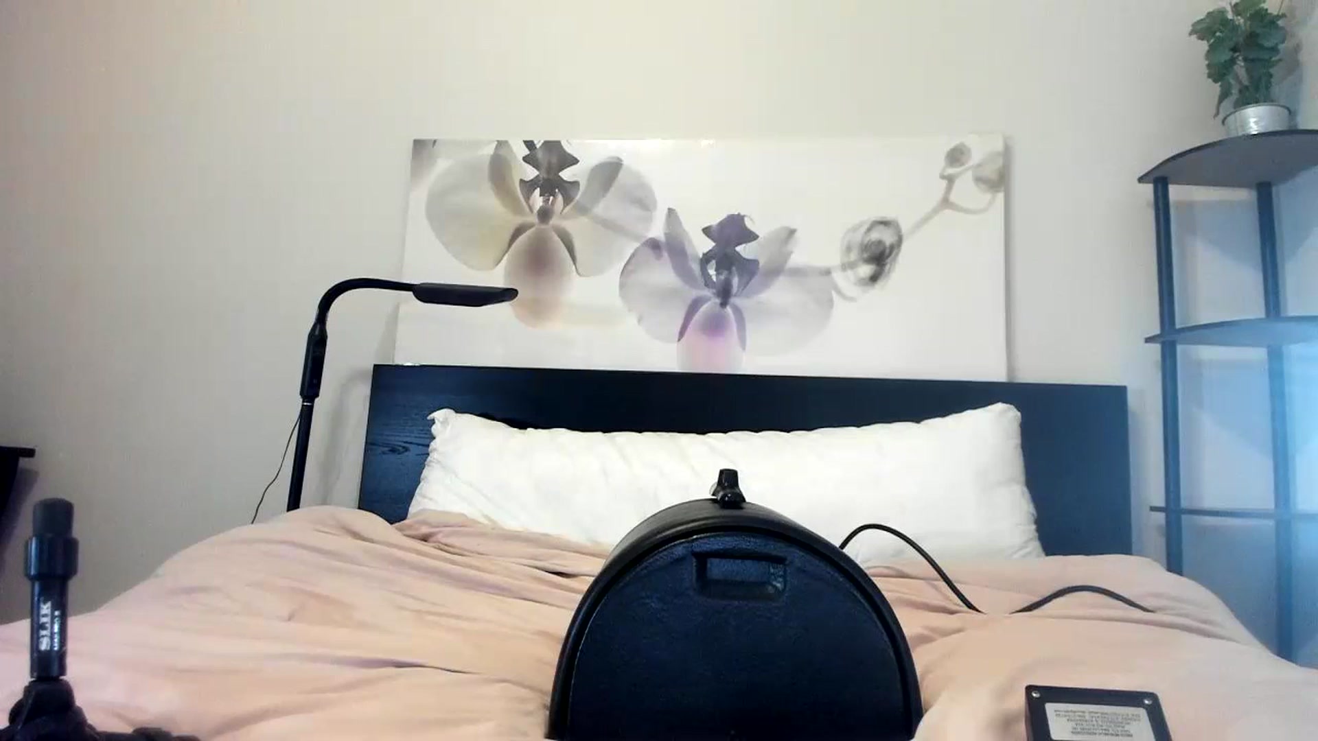 Gallery image thumbnail from Downloads's myfreecams stream on, 09/06/2023, 07:11 image 1 of 20