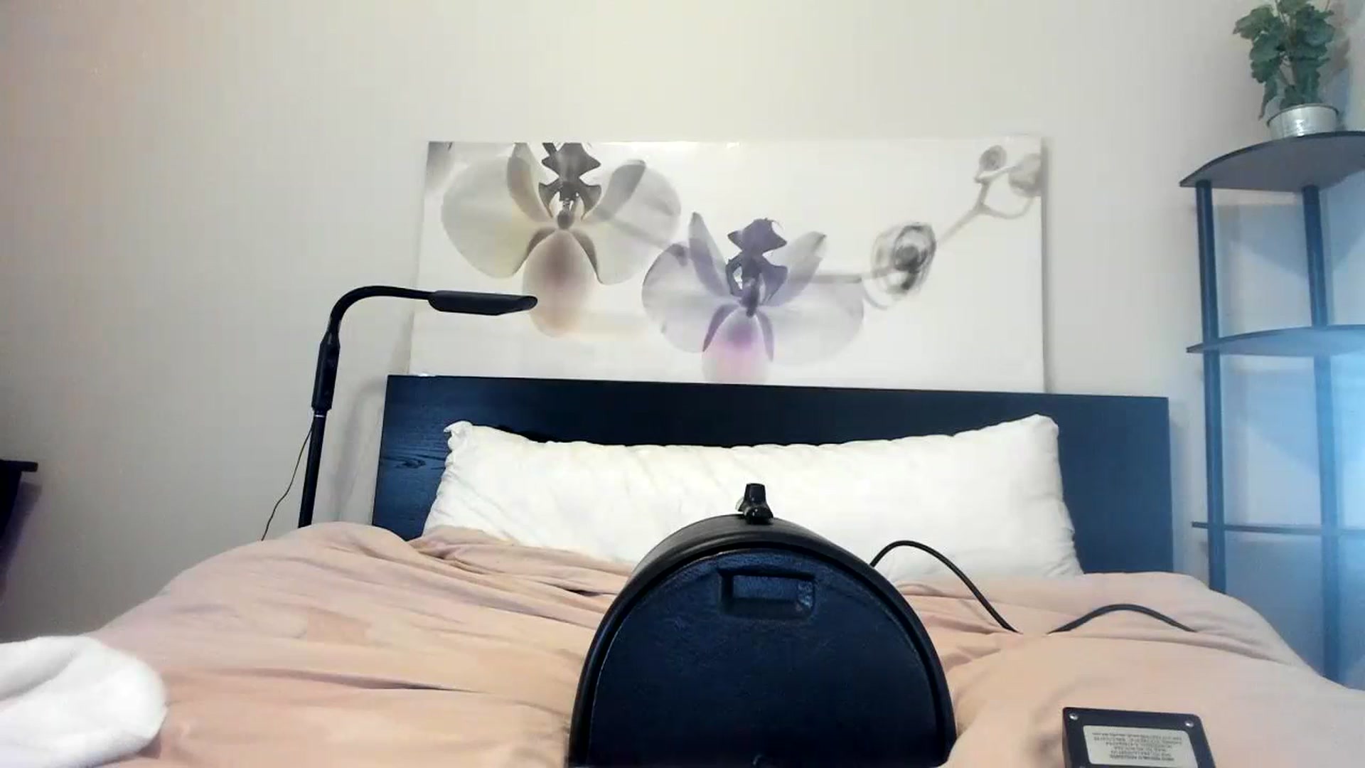 Gallery image thumbnail from Downloads's myfreecams stream on, 09/06/2023, 07:11 image 3 of 20