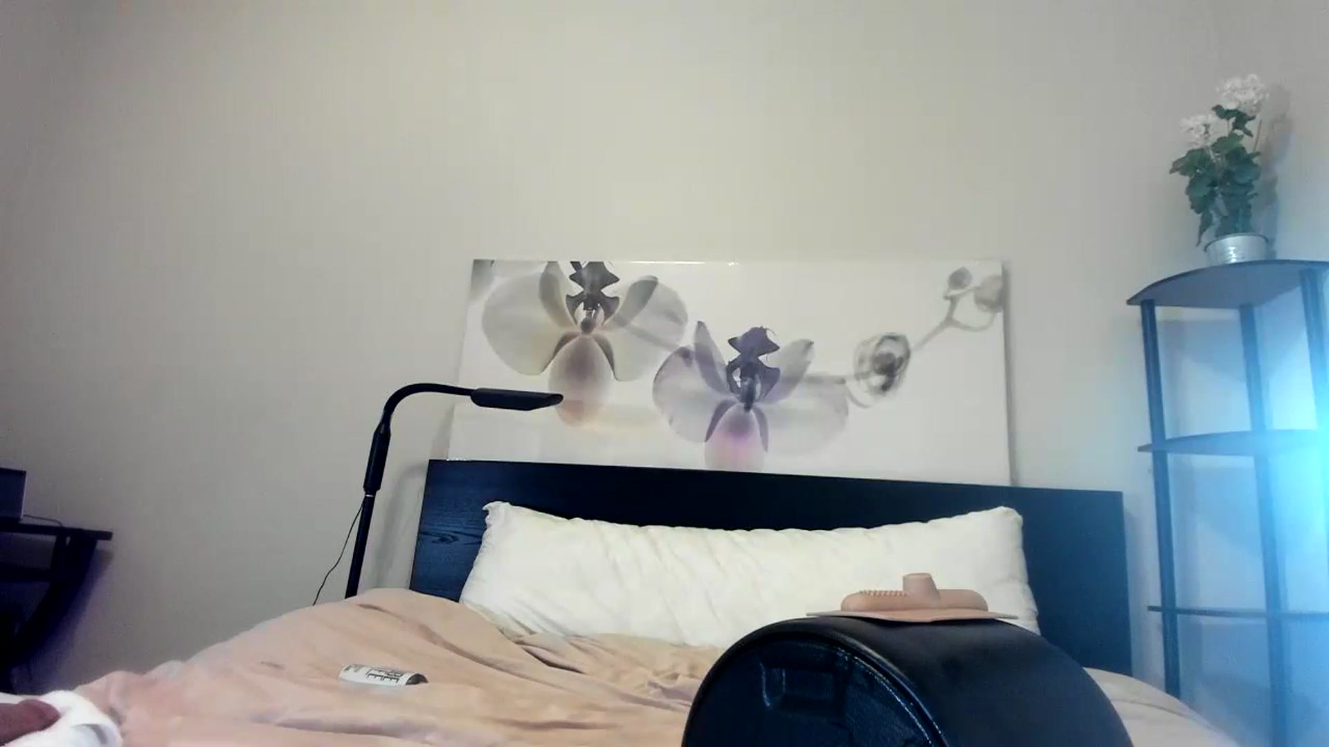 Gallery image thumbnail from Downloads's myfreecams stream on, 09/06/2023, 07:11 image 13 of 20