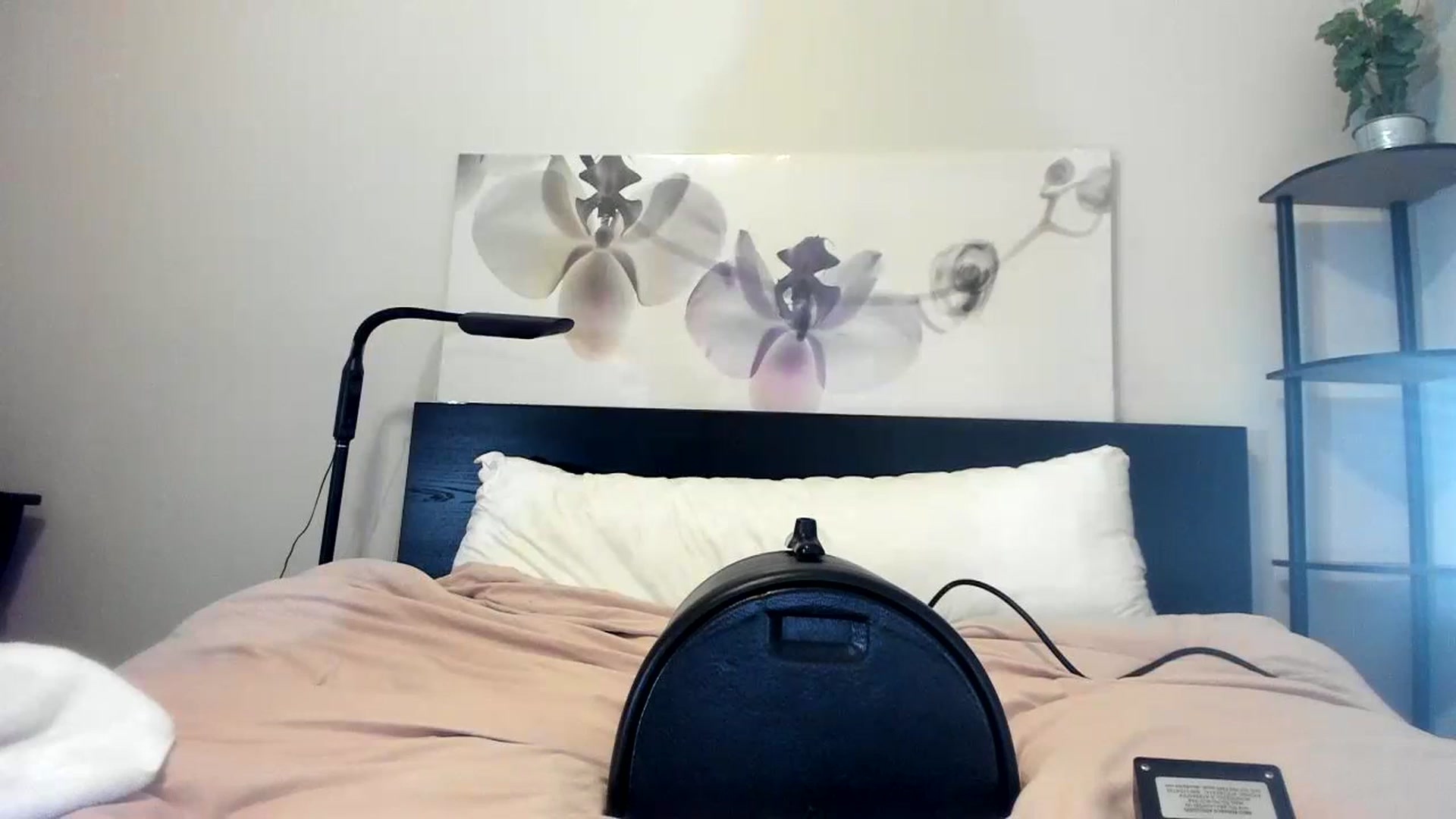 Gallery image thumbnail from Downloads's myfreecams stream on, 09/06/2023, 07:11 image 2 of 20