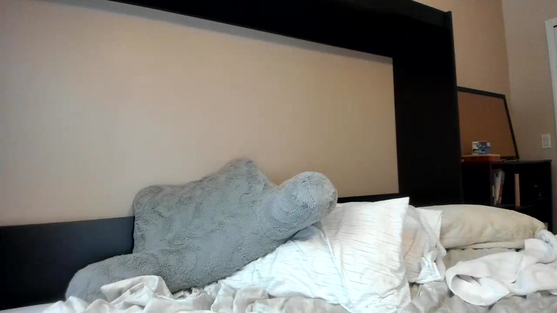 Gallery image thumbnail from Downloads's myfreecams stream on, 09/27/2023, 06:46 image 16 of 20