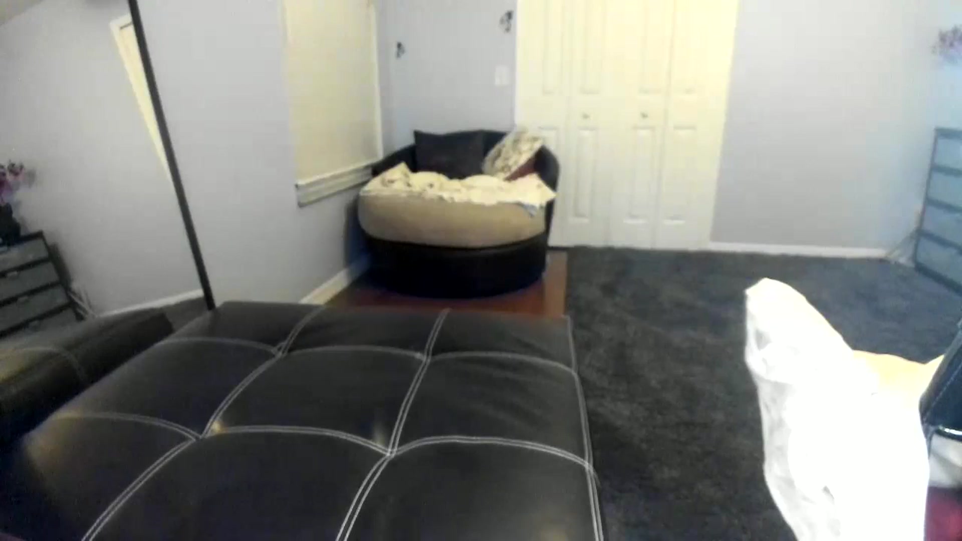 Gallery image thumbnail from Downloads's myfreecams stream on, 11/25/2023, 07:48 image 19 of 20