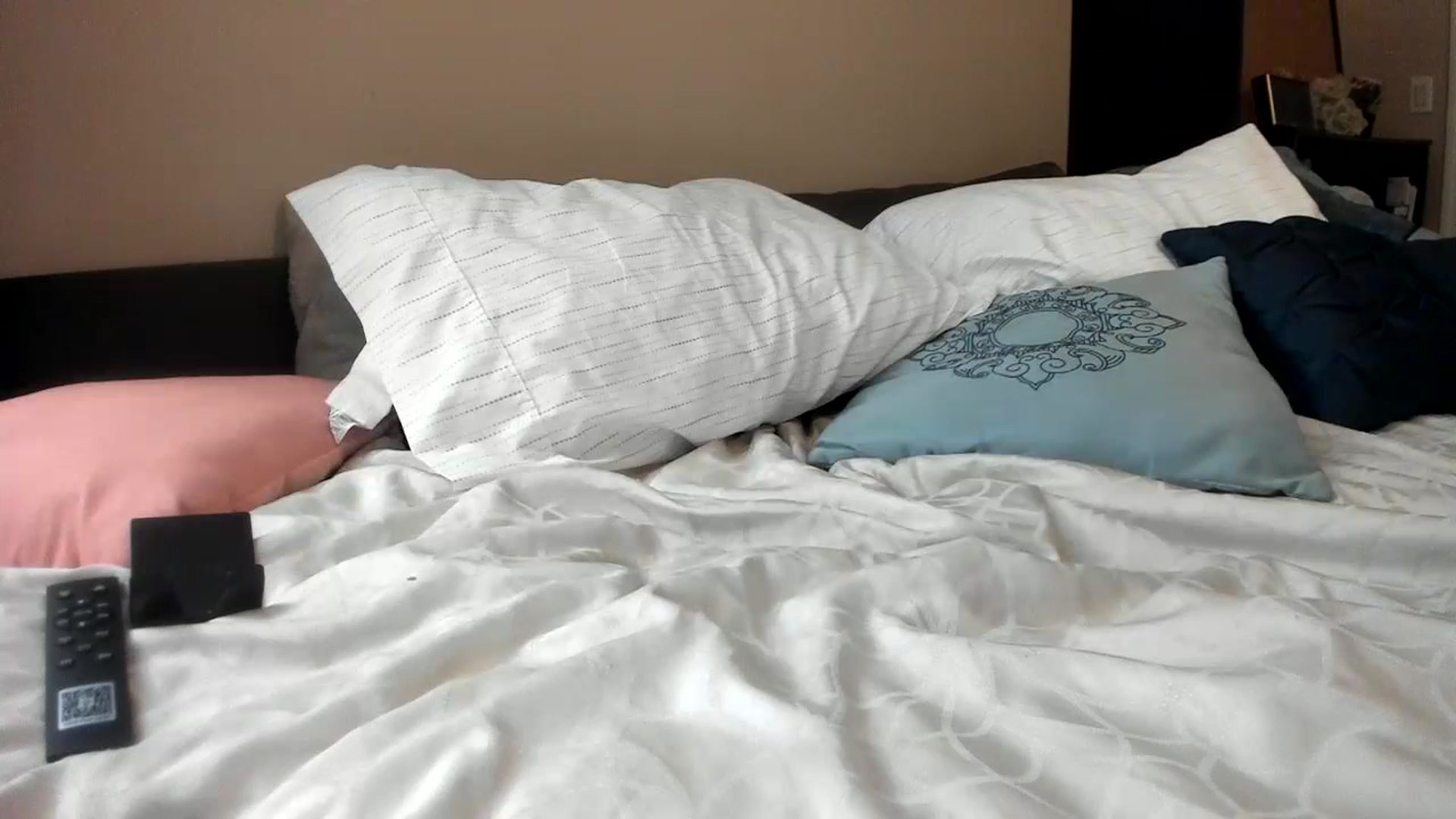 Gallery image thumbnail from Downloads's myfreecams stream on, 11/25/2023, 08:29 image 18 of 20