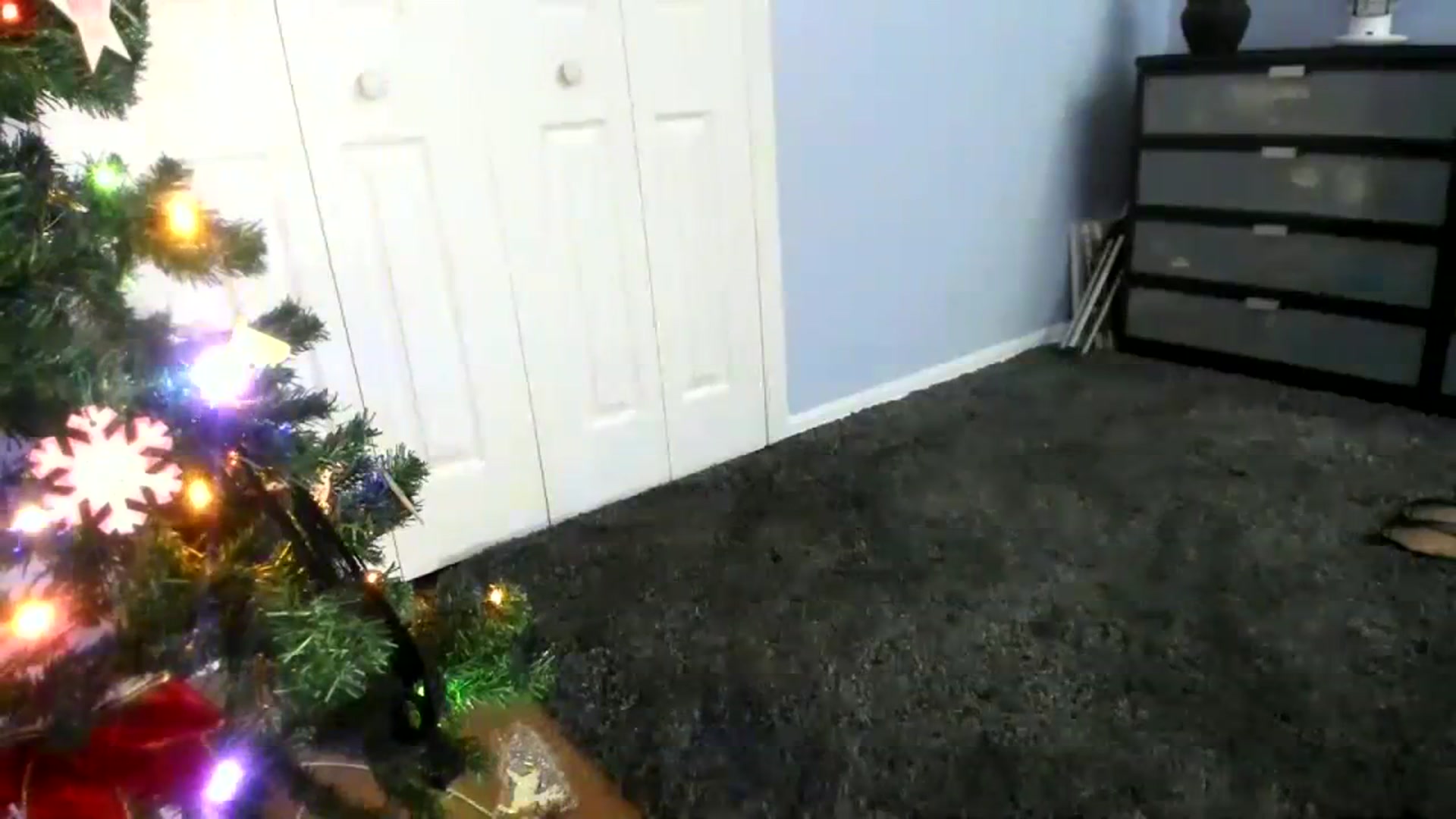 Gallery image thumbnail from Downloads's myfreecams stream on, 12/01/2023, 09:39 image 15 of 20