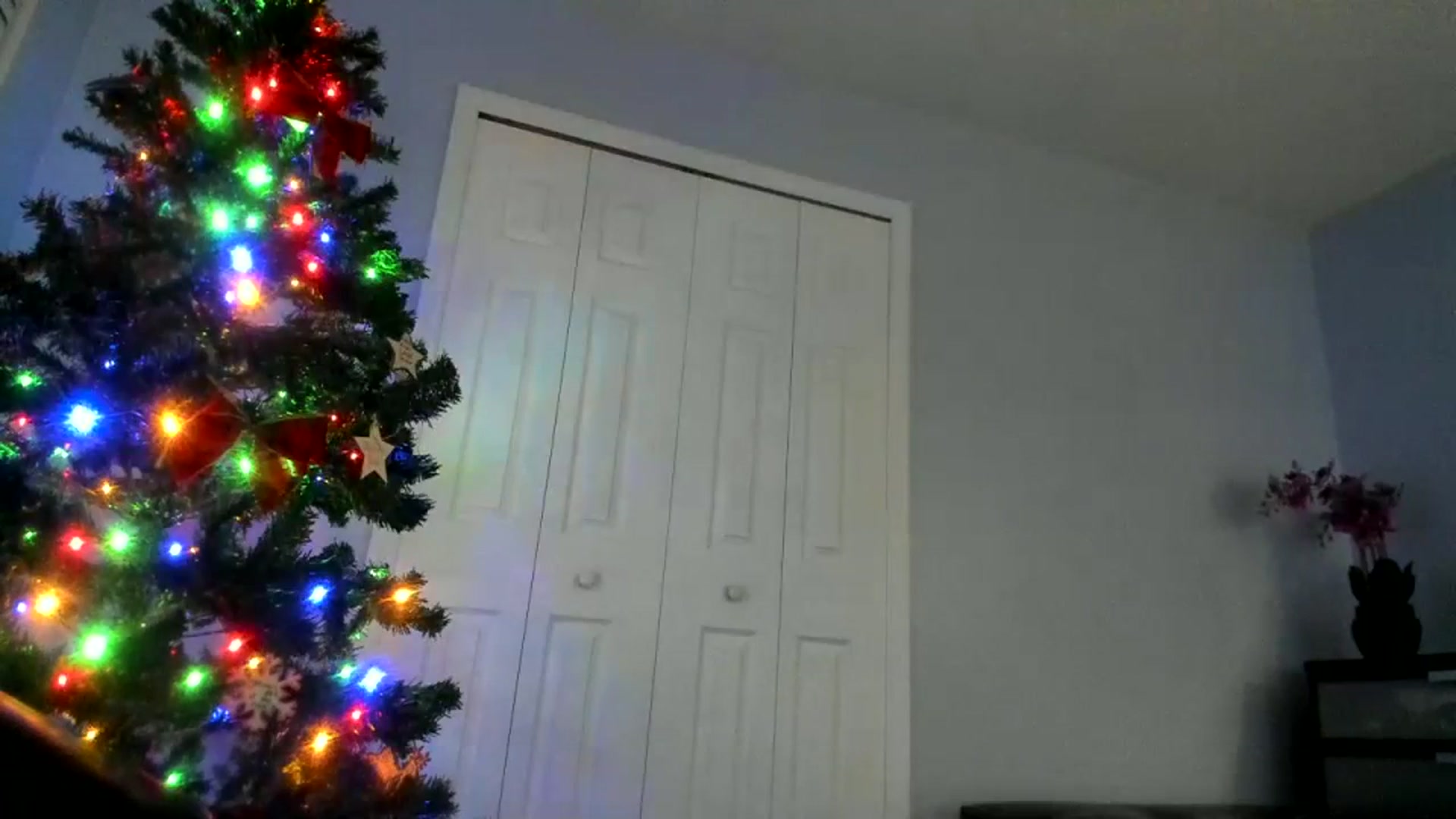 Gallery image thumbnail from Downloads's myfreecams stream on, 12/13/2023, 07:53 image 12 of 20