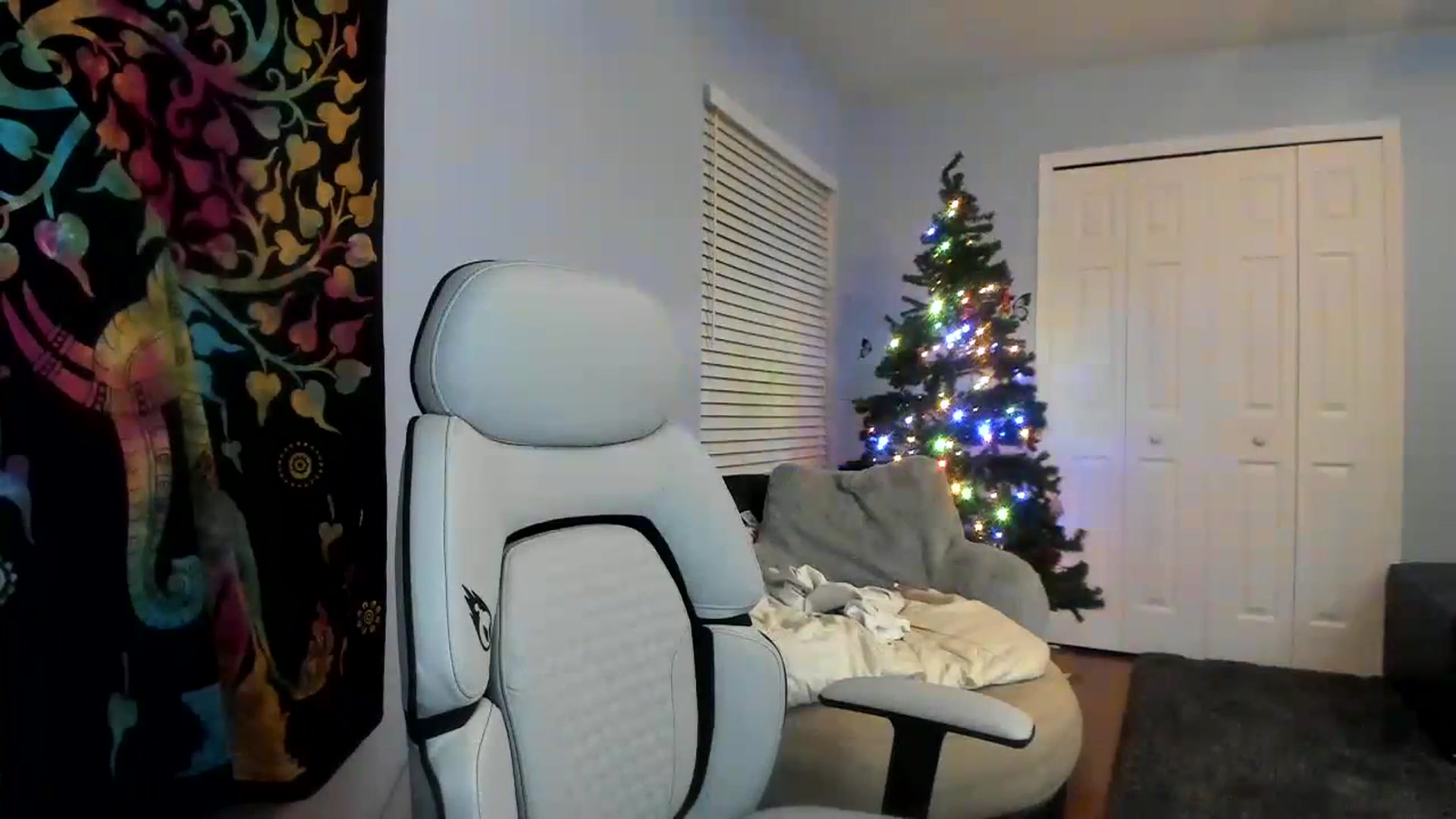 Gallery image thumbnail from Downloads's myfreecams stream on, 12/29/2023, 08:07 image 13 of 20