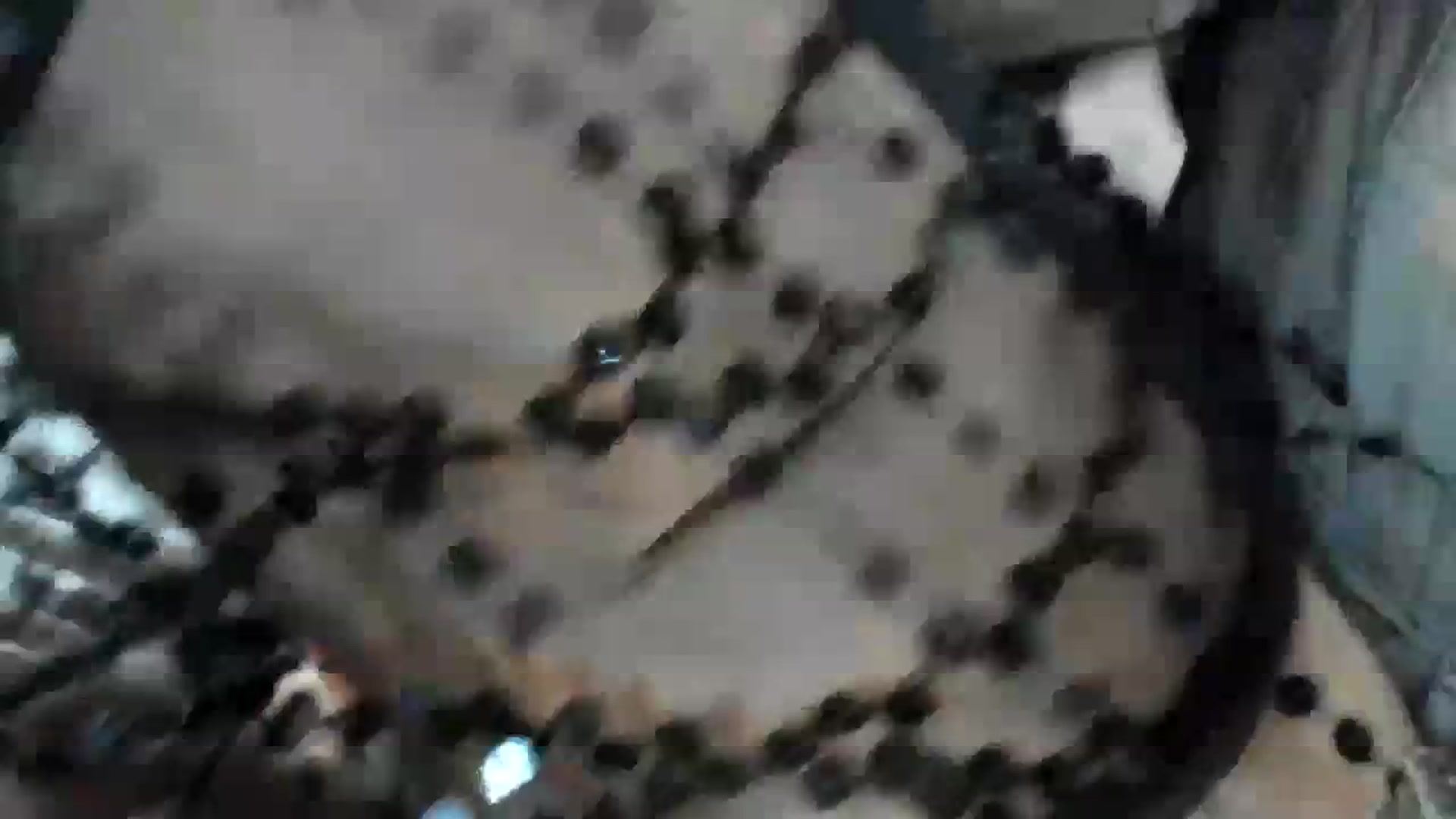 Gallery image thumbnail from Downloads's myfreecams stream on, 01/01/2024, 10:49 image 17 of 20