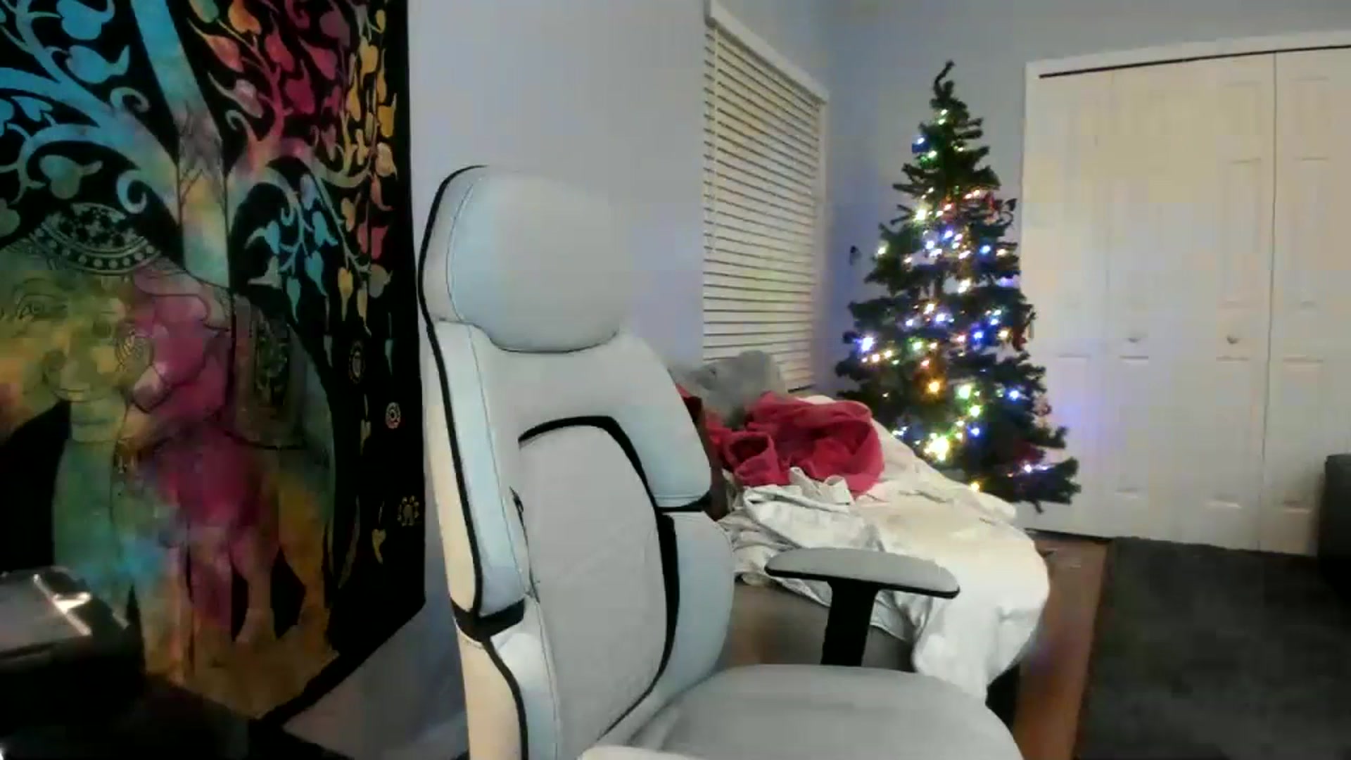 Gallery image thumbnail from Downloads's myfreecams stream on, 01/11/2024, 07:33 image 3 of 20