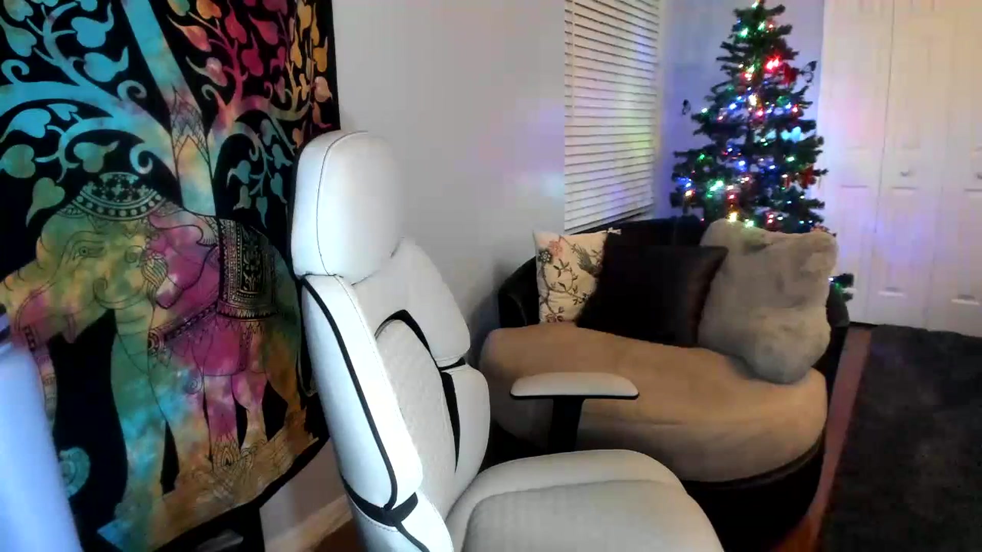 Gallery image thumbnail from Downloads's myfreecams stream on, 01/25/2024, 07:58 image 20 of 20