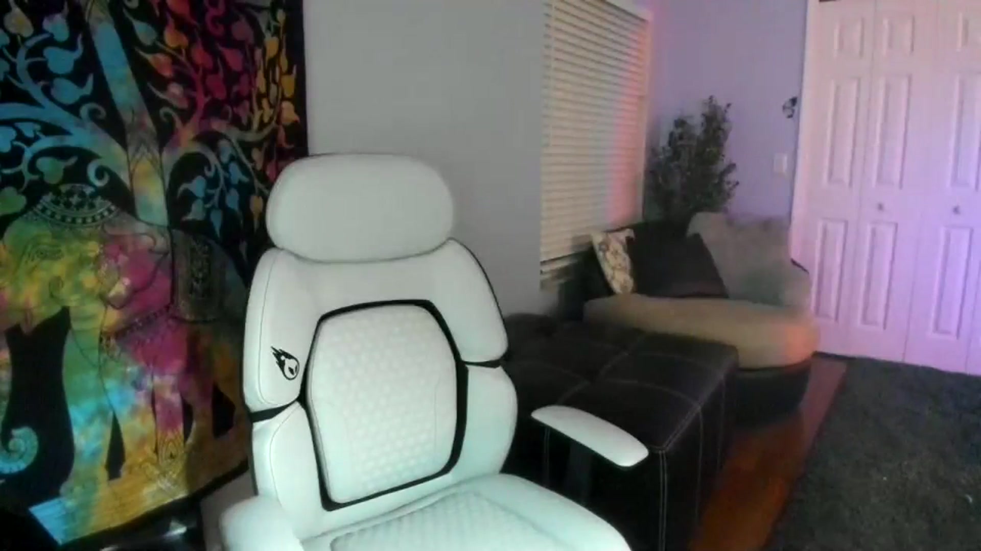 Gallery image thumbnail from Downloads's myfreecams stream on, 02/15/2024, 07:33 image 3 of 20