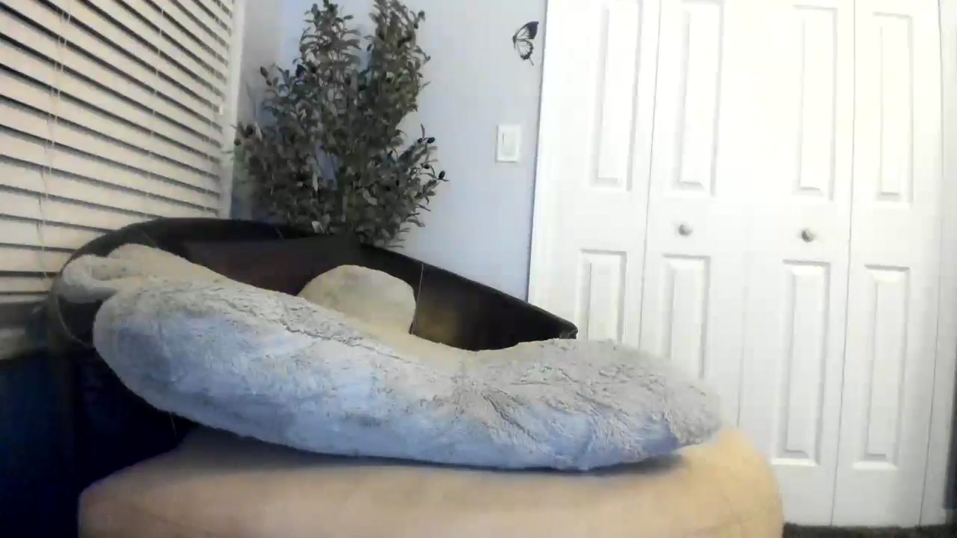 Gallery image thumbnail from Downloads's myfreecams stream on, 05/03/2024, 07:02 image 18 of 20