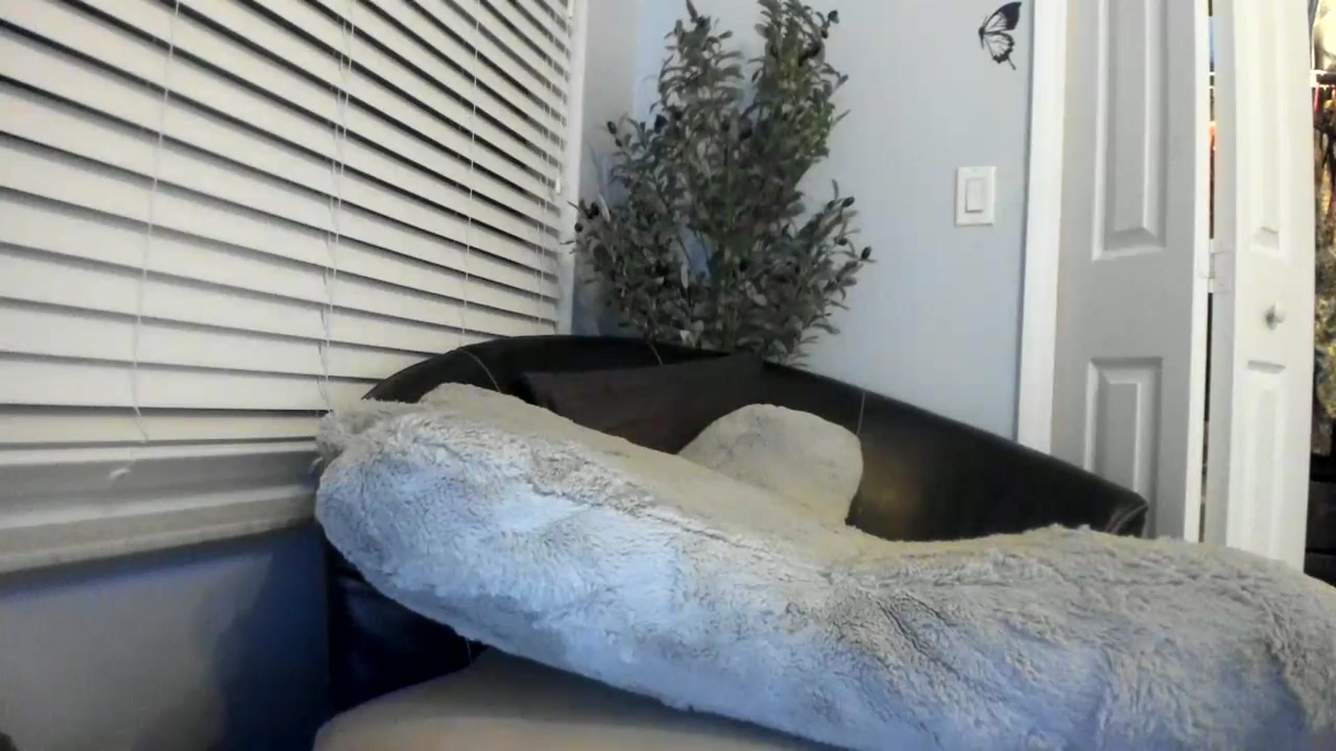 Gallery image thumbnail from Downloads's myfreecams stream on, 05/03/2024, 07:02 image 17 of 20