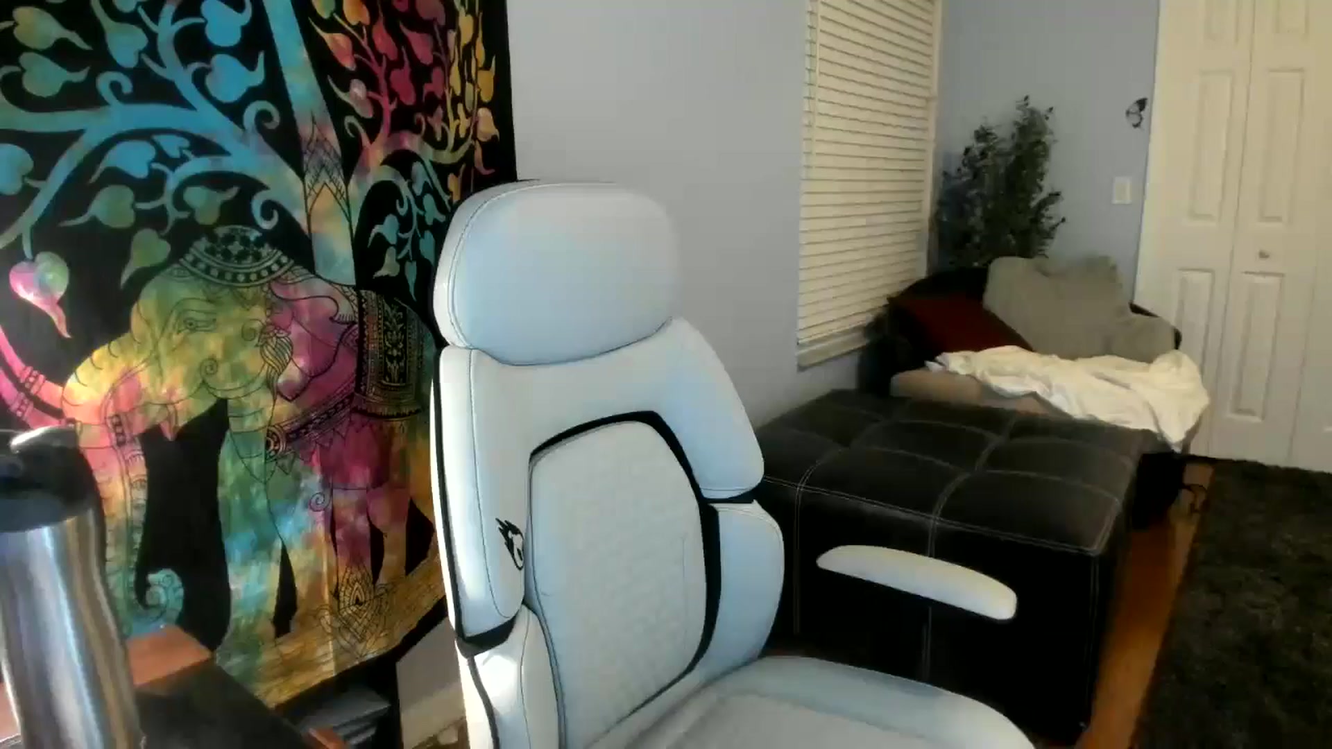 Gallery image thumbnail from Downloads's myfreecams stream on, 05/16/2024, 07:05 image 7 of 20