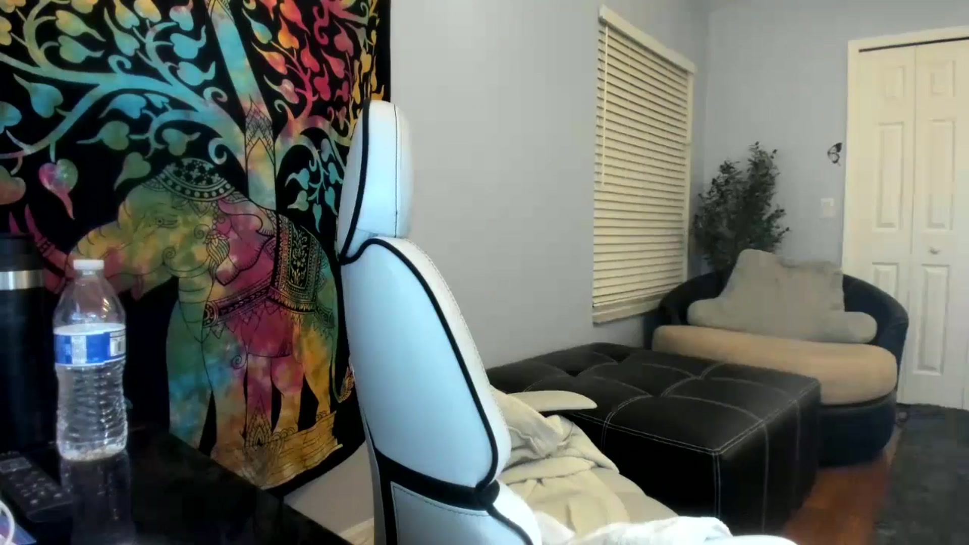 Gallery image thumbnail from Downloads's myfreecams stream on, 06/07/2024, 07:36 image 17 of 20