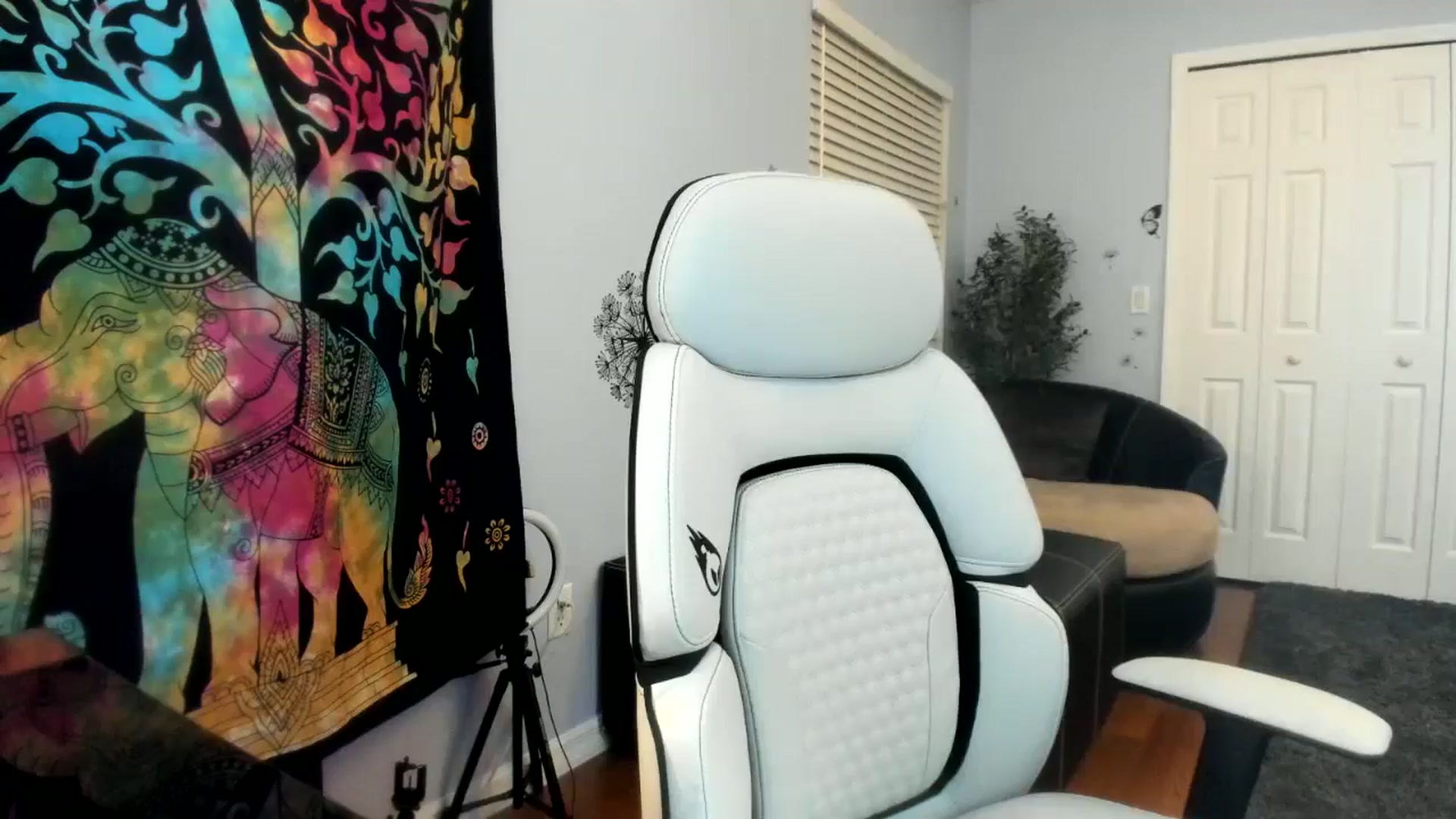 Gallery image thumbnail from Downloads's myfreecams stream on, 07/17/2024, 05:56 image 13 of 20