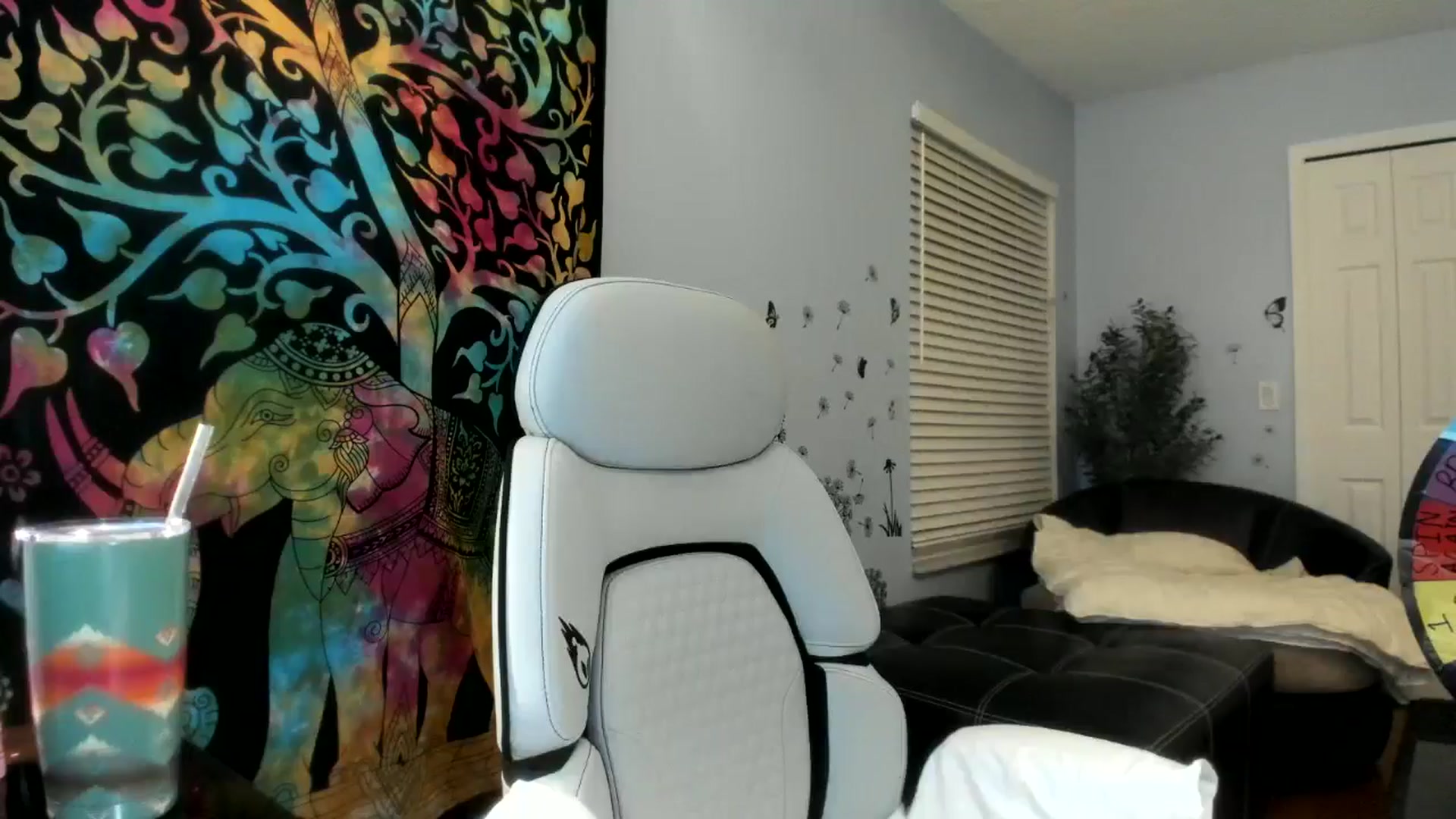 Gallery image thumbnail from Downloads's myfreecams stream on, 08/09/2024, 07:26 image 12 of 20