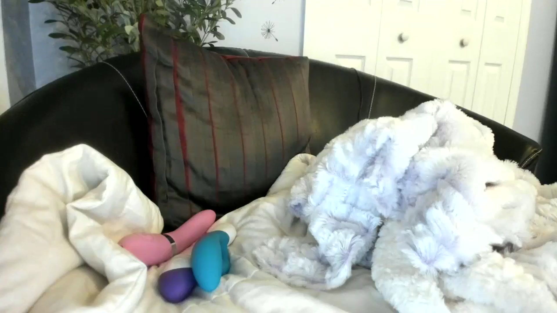 Gallery image thumbnail from Downloads's myfreecams stream on, 08/29/2024, 08:07 image 17 of 20