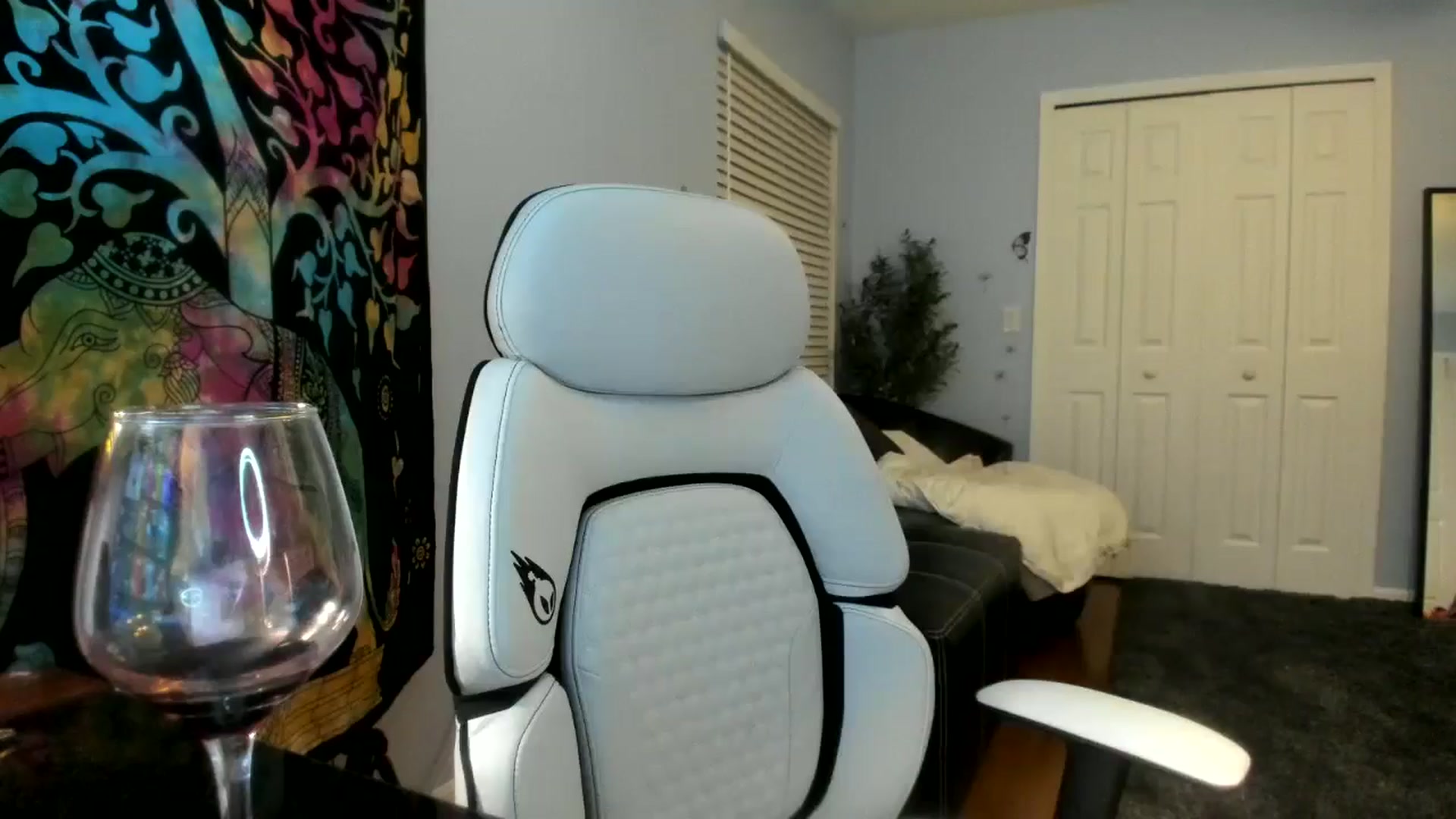 Gallery image thumbnail from Downloads's myfreecams stream on, 12/08/2024, 08:30 image 10 of 20