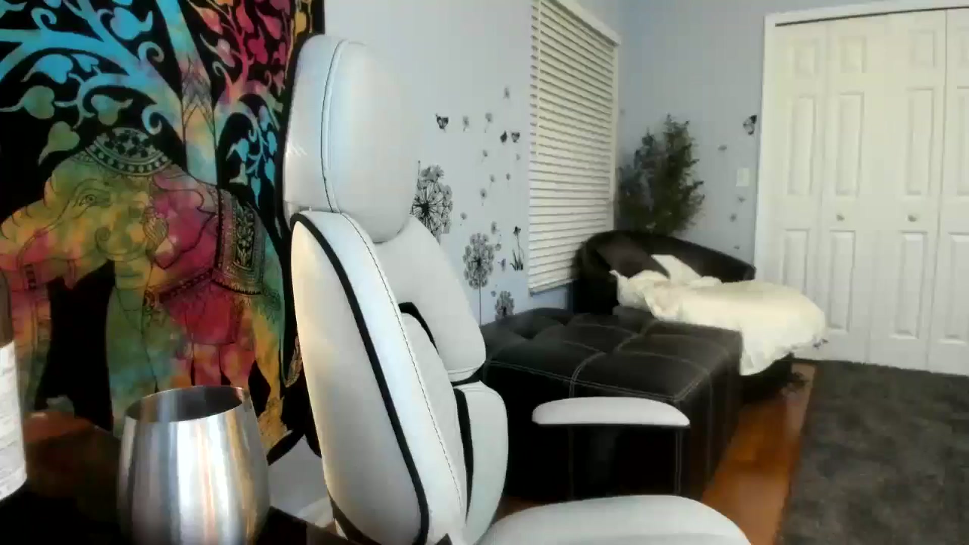 Gallery image thumbnail from Downloads's myfreecams stream on, 01/02/2025, 06:13 image 8 of 20