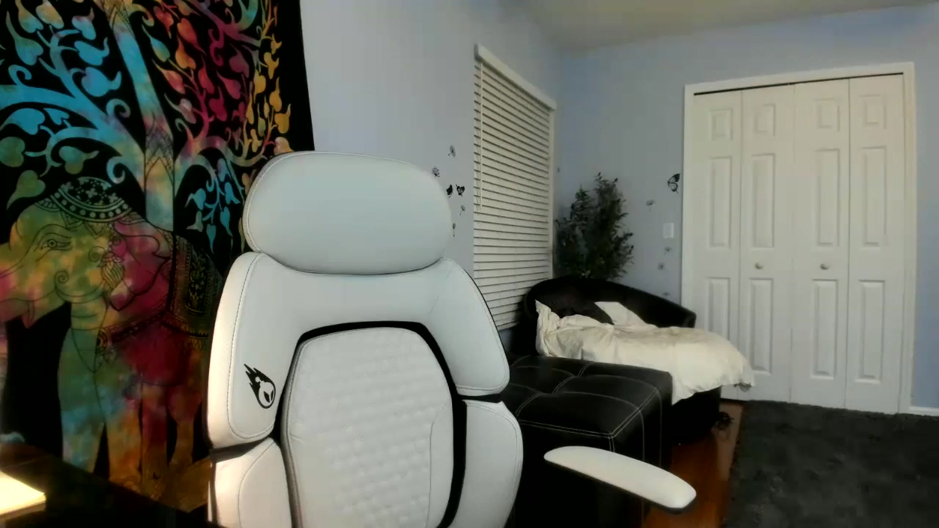 Gallery image thumbnail from Downloads's myfreecams stream on, 01/04/2025, 08:48 image 5 of 20