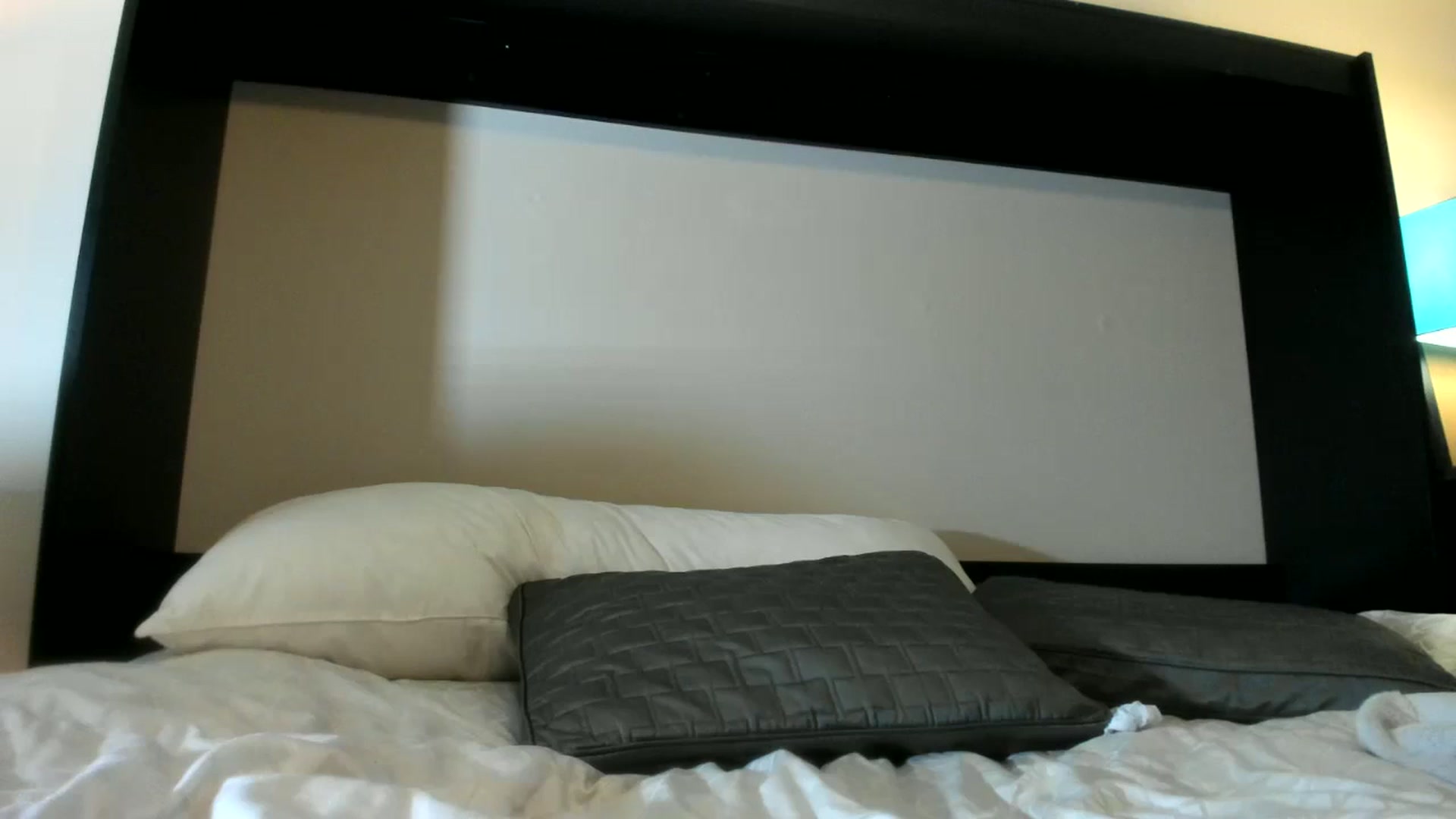 Gallery image thumbnail from Downloads's myfreecams stream on, 01/12/2025, 07:20 image 20 of 20