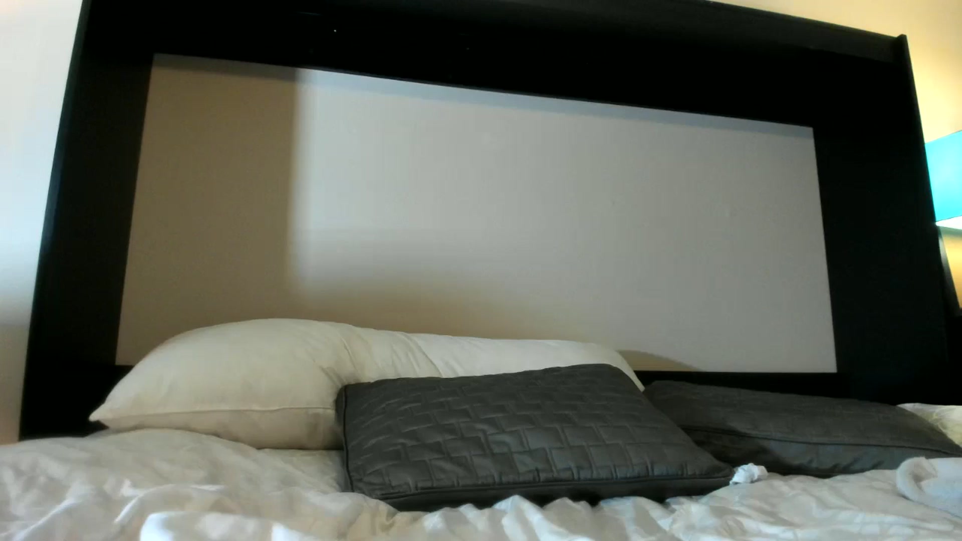 Gallery image thumbnail from Downloads's myfreecams stream on, 01/12/2025, 07:20 image 19 of 20
