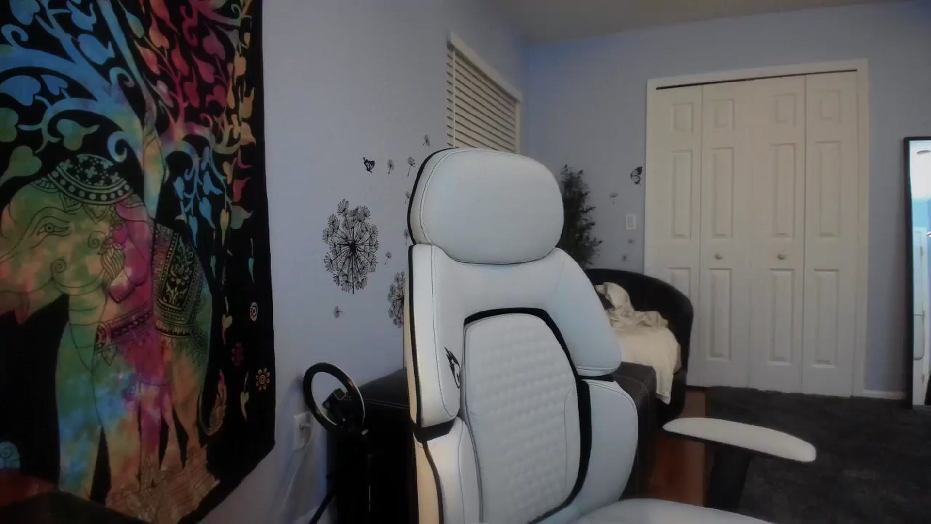 Gallery image thumbnail from Downloads's myfreecams stream on, 02/28/2025, 07:29 image 2 of 20