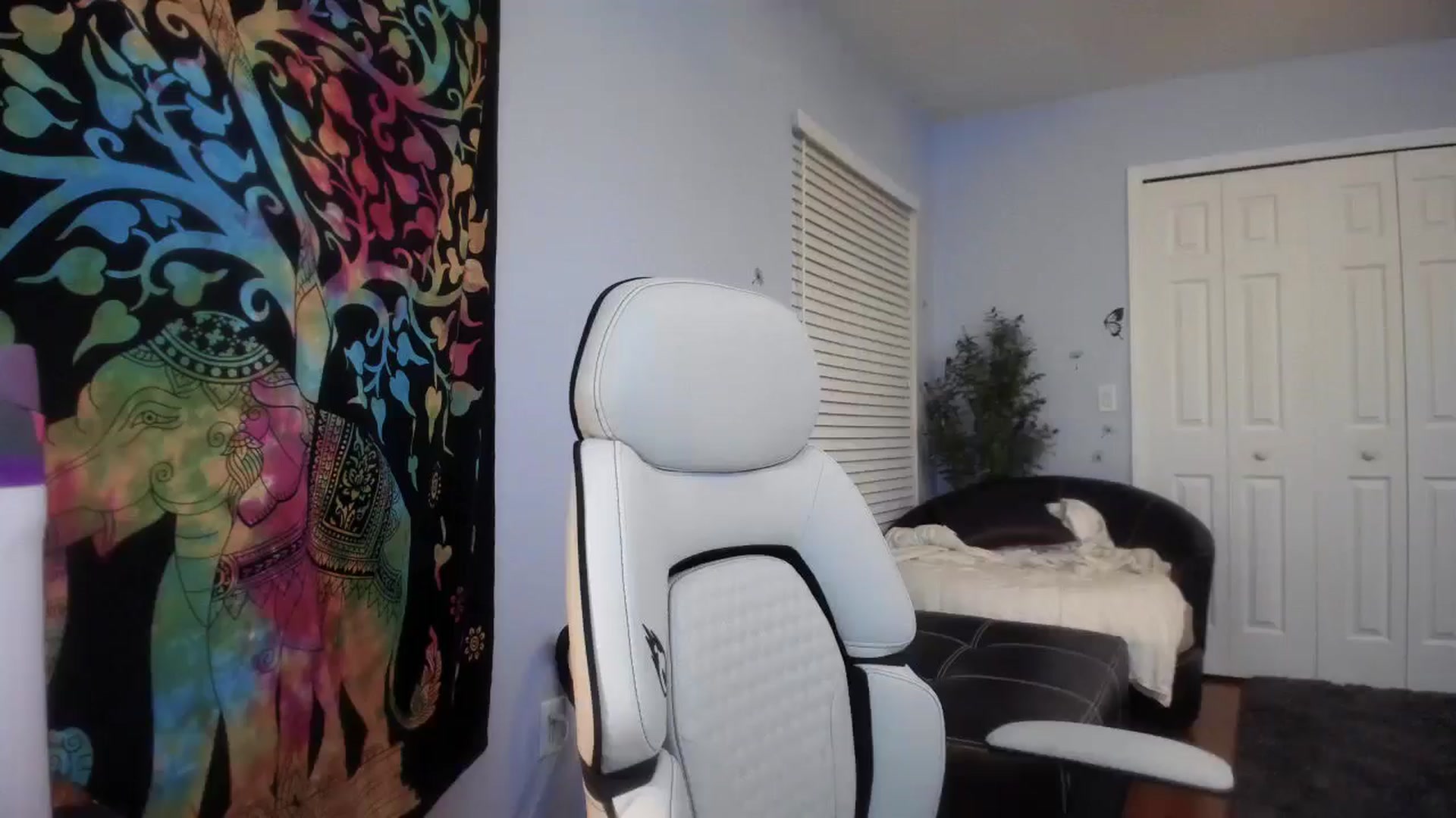 Gallery image thumbnail from Downloads's myfreecams stream on, 02/28/2025, 07:29 image 19 of 20