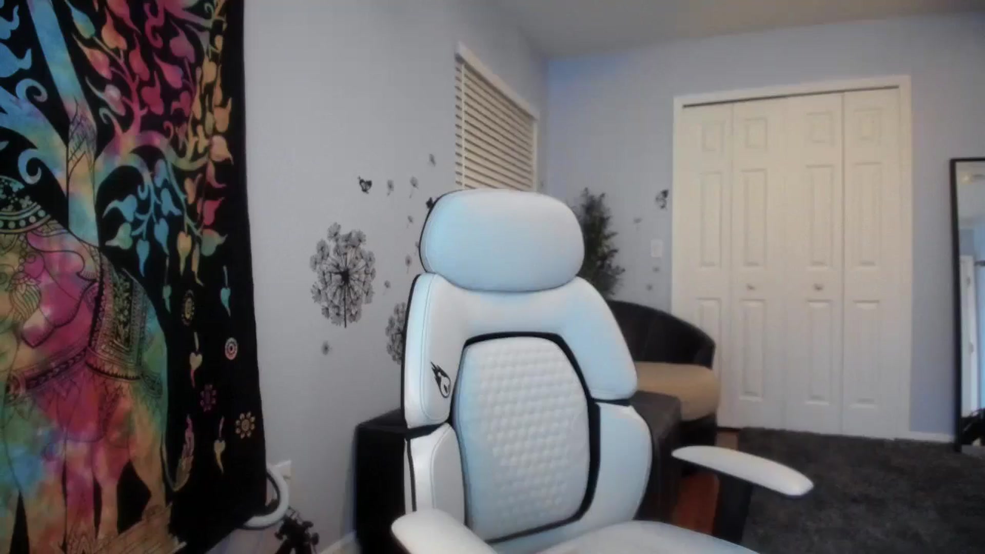 Gallery image thumbnail from Downloads's myfreecams stream on, 03/11/2025, 06:50 image 7 of 20