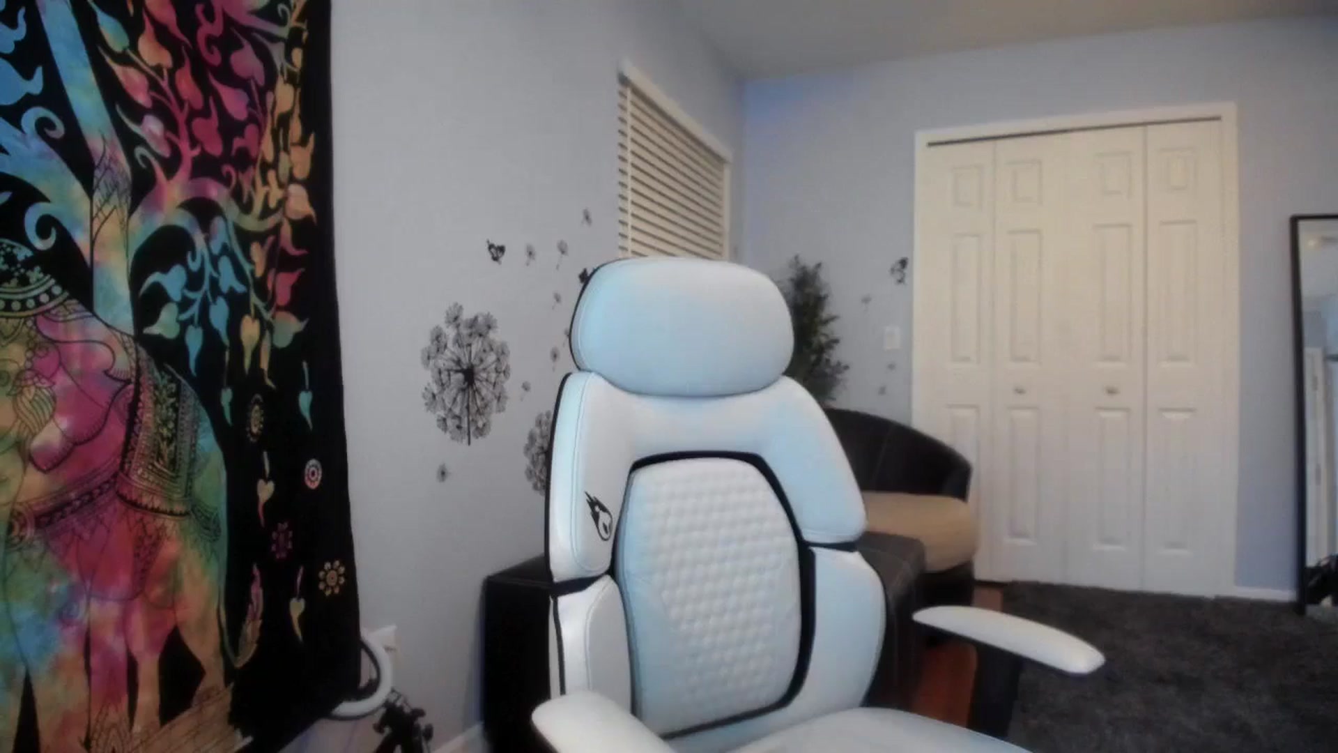 Gallery image thumbnail from Downloads's myfreecams stream on, 03/11/2025, 06:50 image 8 of 20