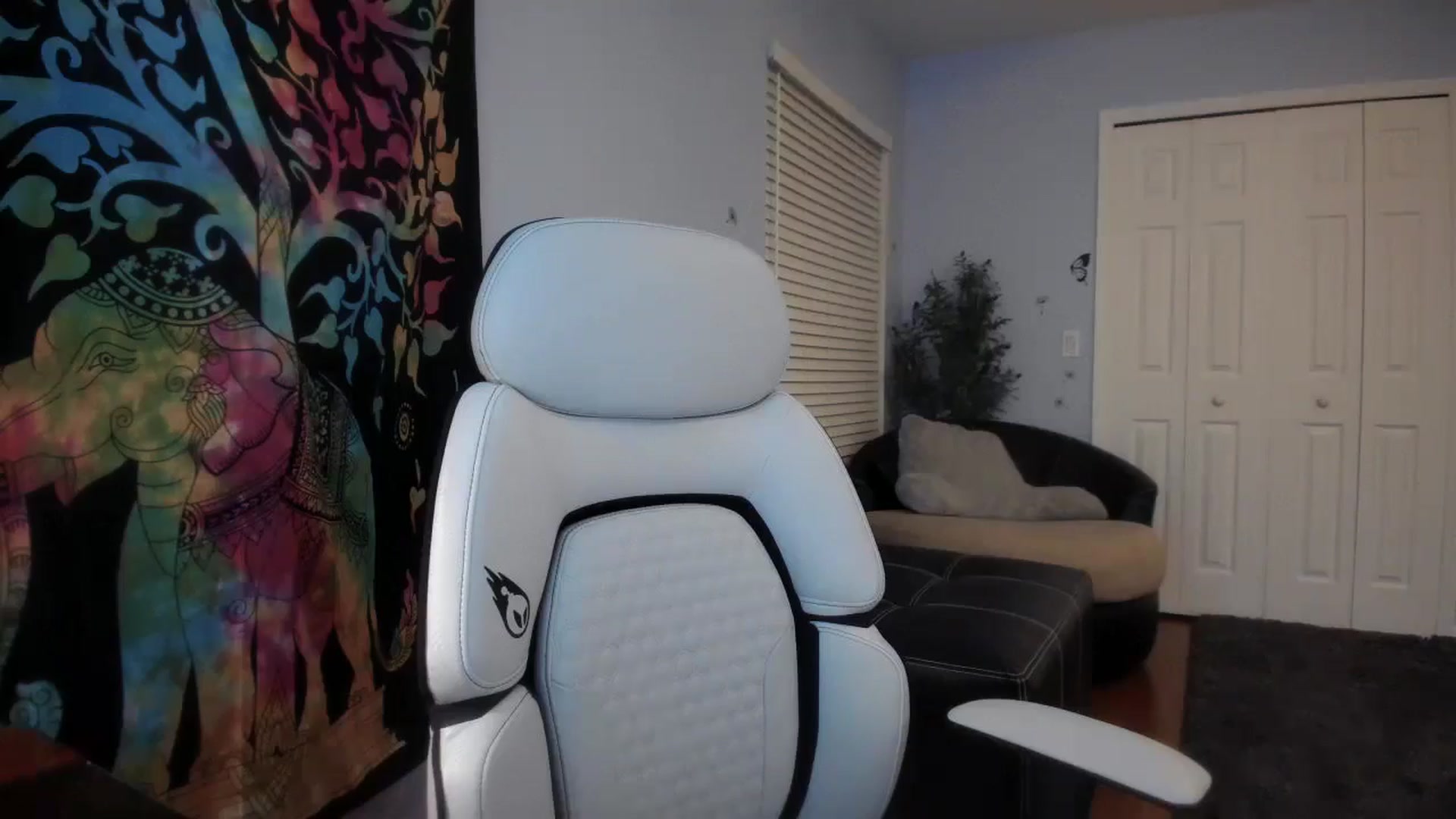 Gallery image thumbnail from Downloads's myfreecams stream on, 03/27/2025, 07:25 image 3 of 20