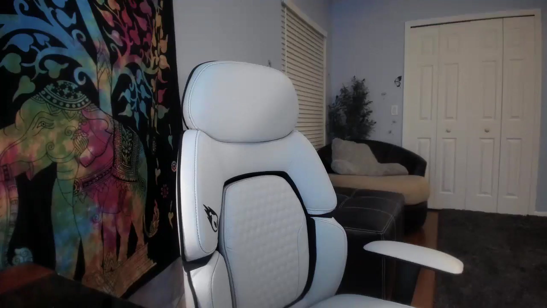Gallery image thumbnail from Downloads's myfreecams stream on, 03/27/2025, 07:25 image 9 of 20