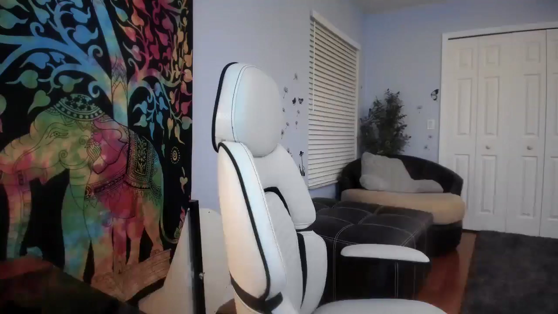 Gallery image thumbnail from Downloads's myfreecams stream on, 04/01/2025, 06:13 image 7 of 20
