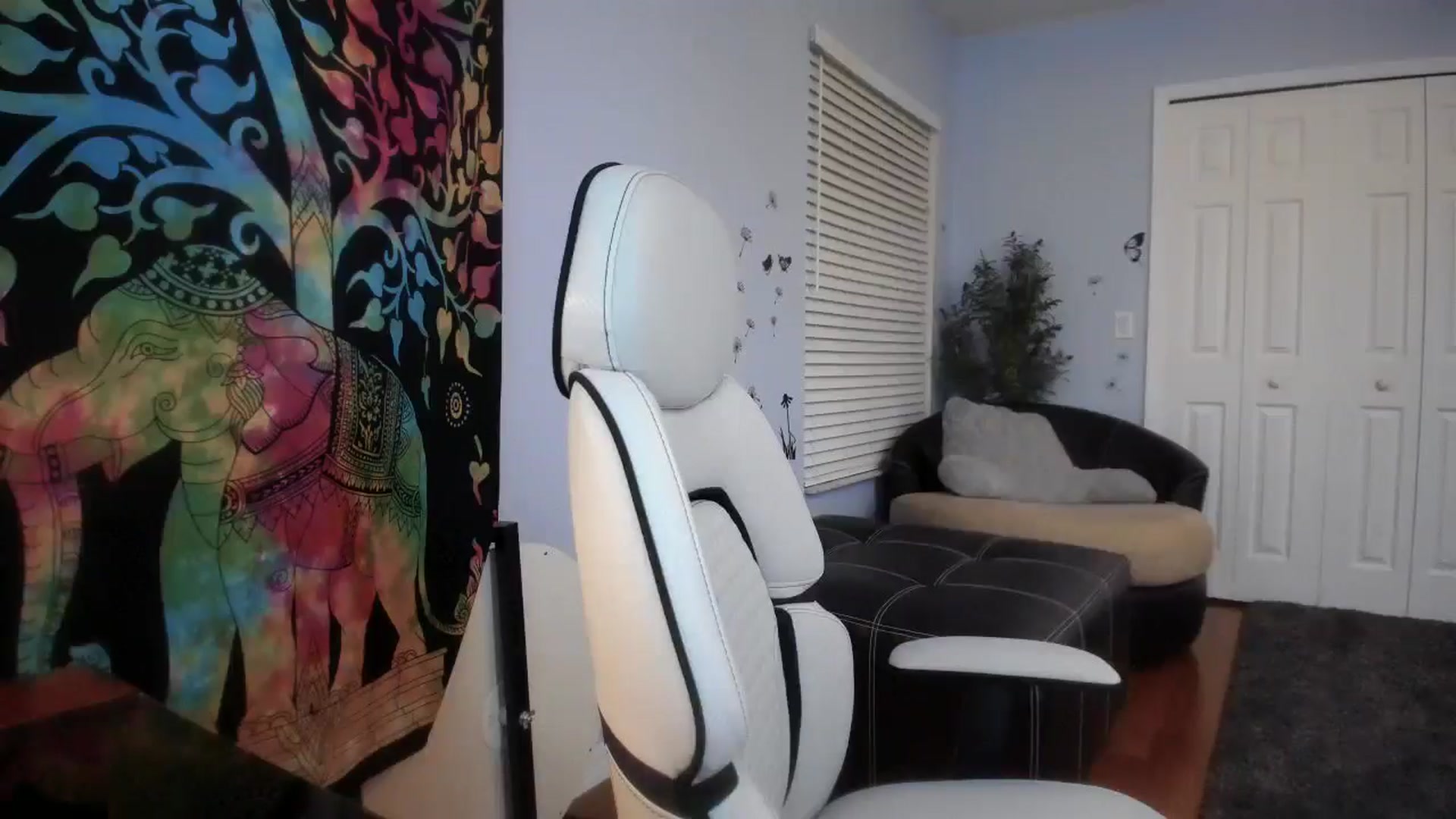 Gallery image thumbnail from Downloads's myfreecams stream on, 04/01/2025, 06:13 image 6 of 20