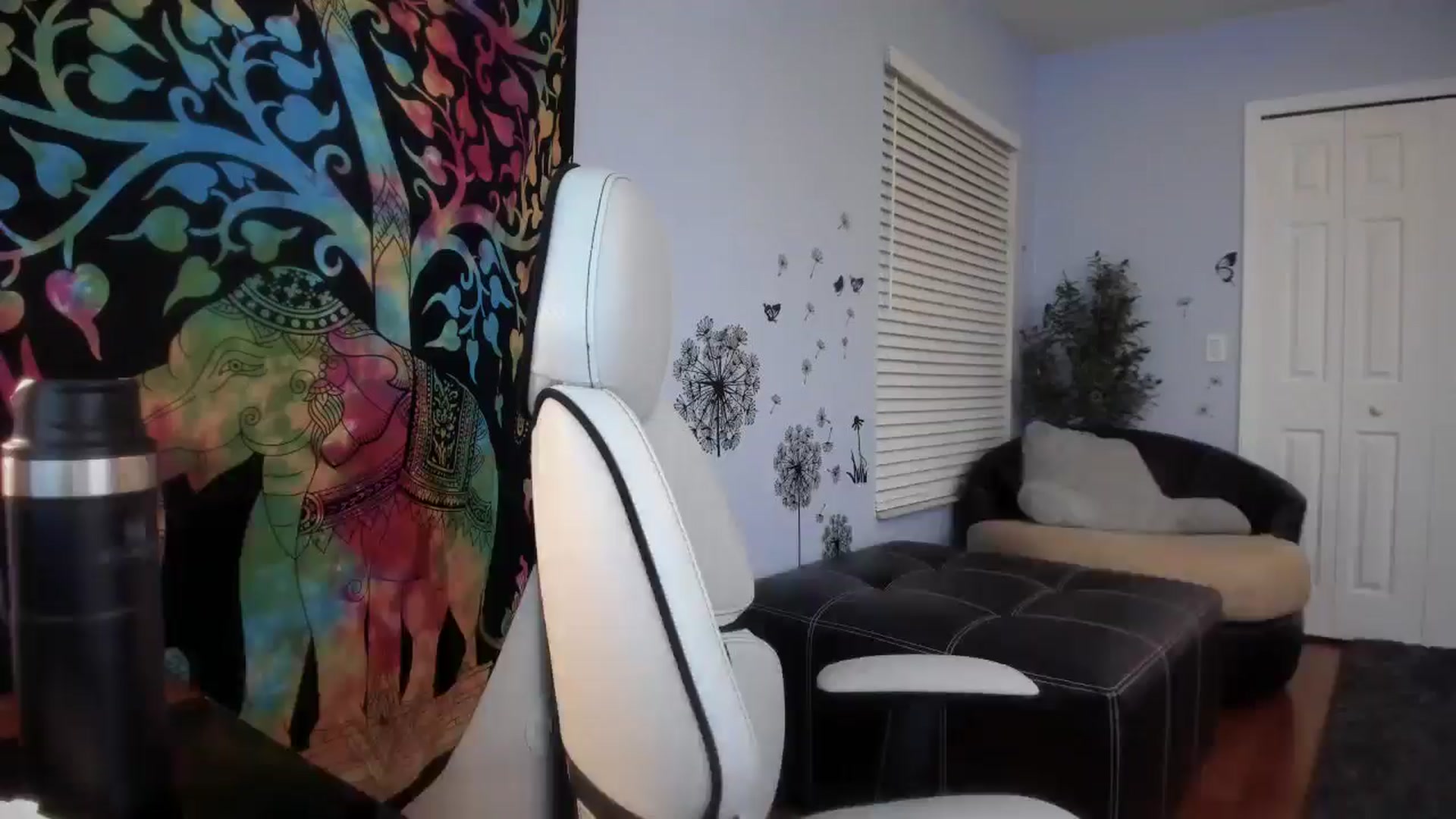 Gallery image thumbnail from Downloads's myfreecams stream on, 04/01/2025, 06:13 image 15 of 20