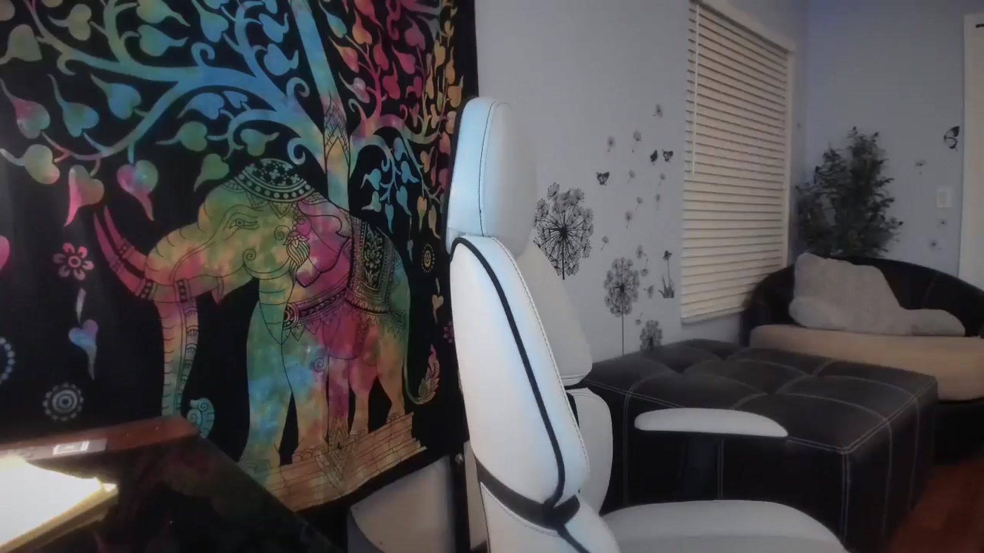 Gallery image thumbnail from Downloads's myfreecams stream on, 04/03/2025, 07:04 image 18 of 20