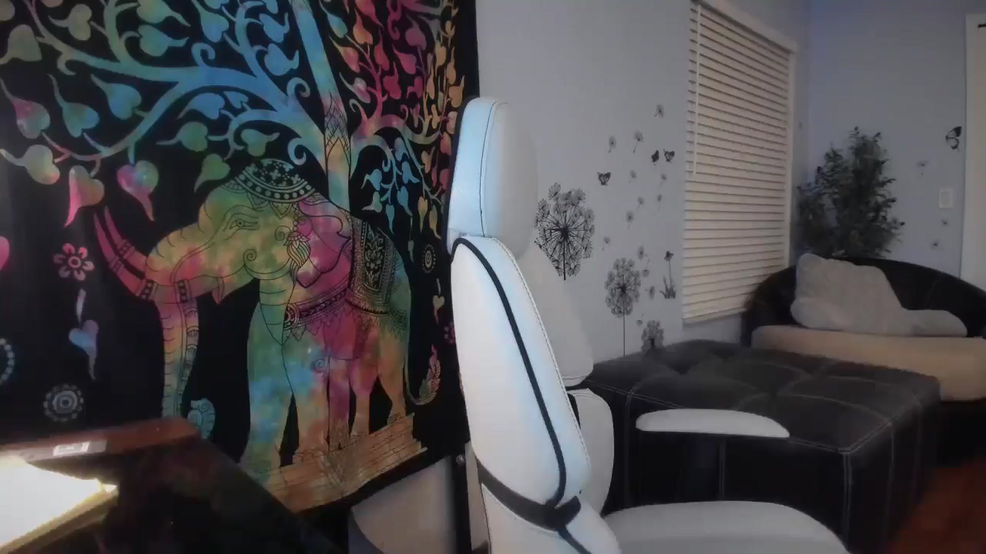 Gallery image thumbnail from Downloads's myfreecams stream on, 04/03/2025, 07:04 image 17 of 20