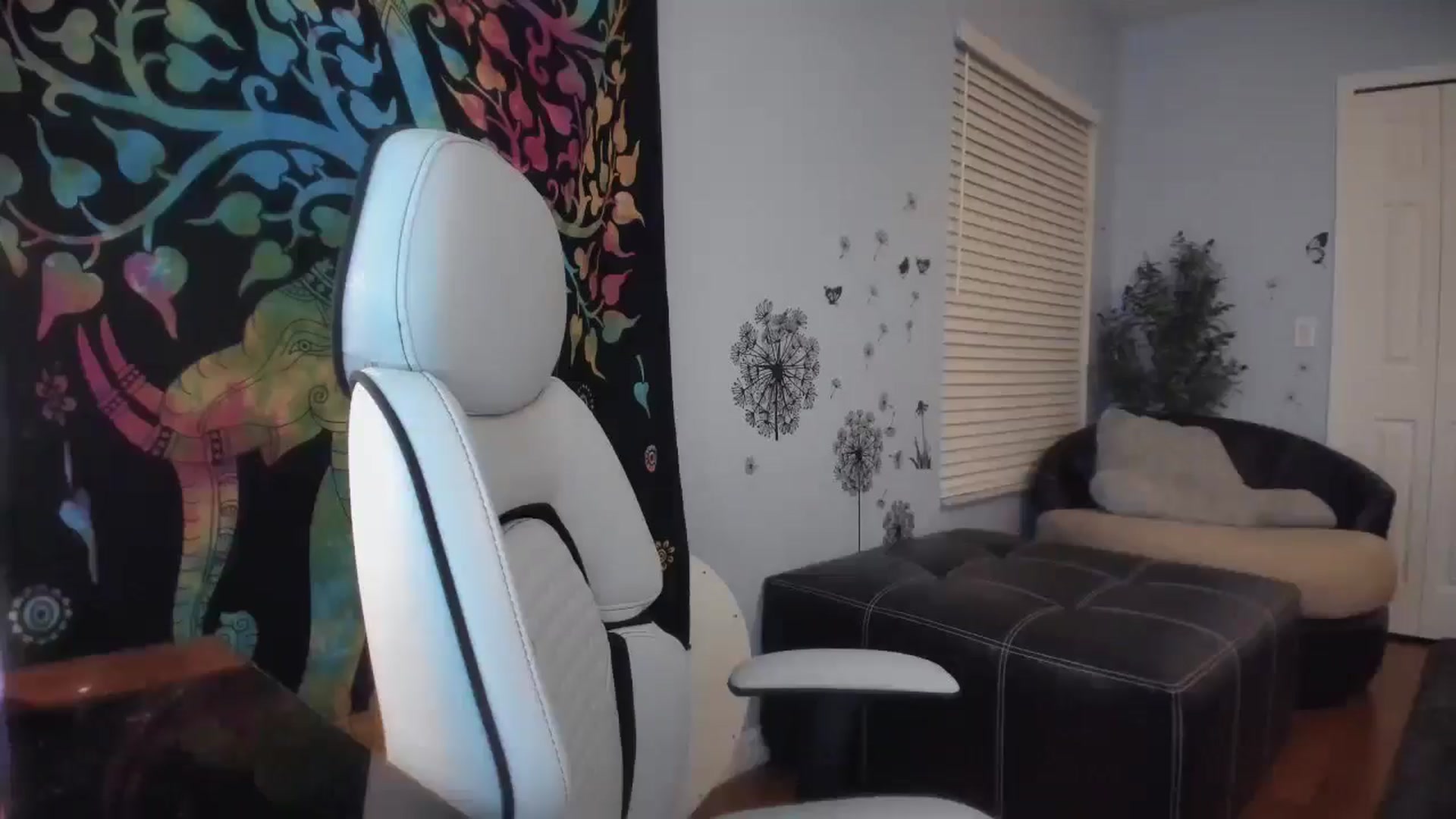 Gallery image thumbnail from Downloads's myfreecams stream on, 04/10/2025, 07:21 image 6 of 20