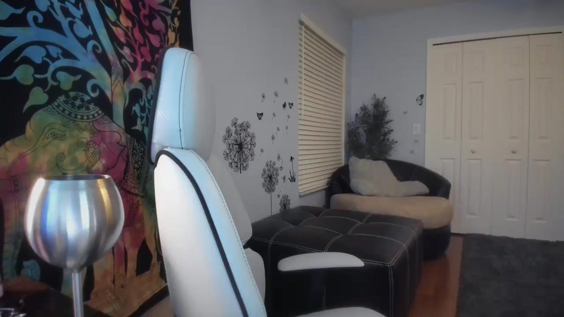 Gallery image thumbnail from Downloads's myfreecams stream on, 04/24/2025, 06:41 image 7 of 20