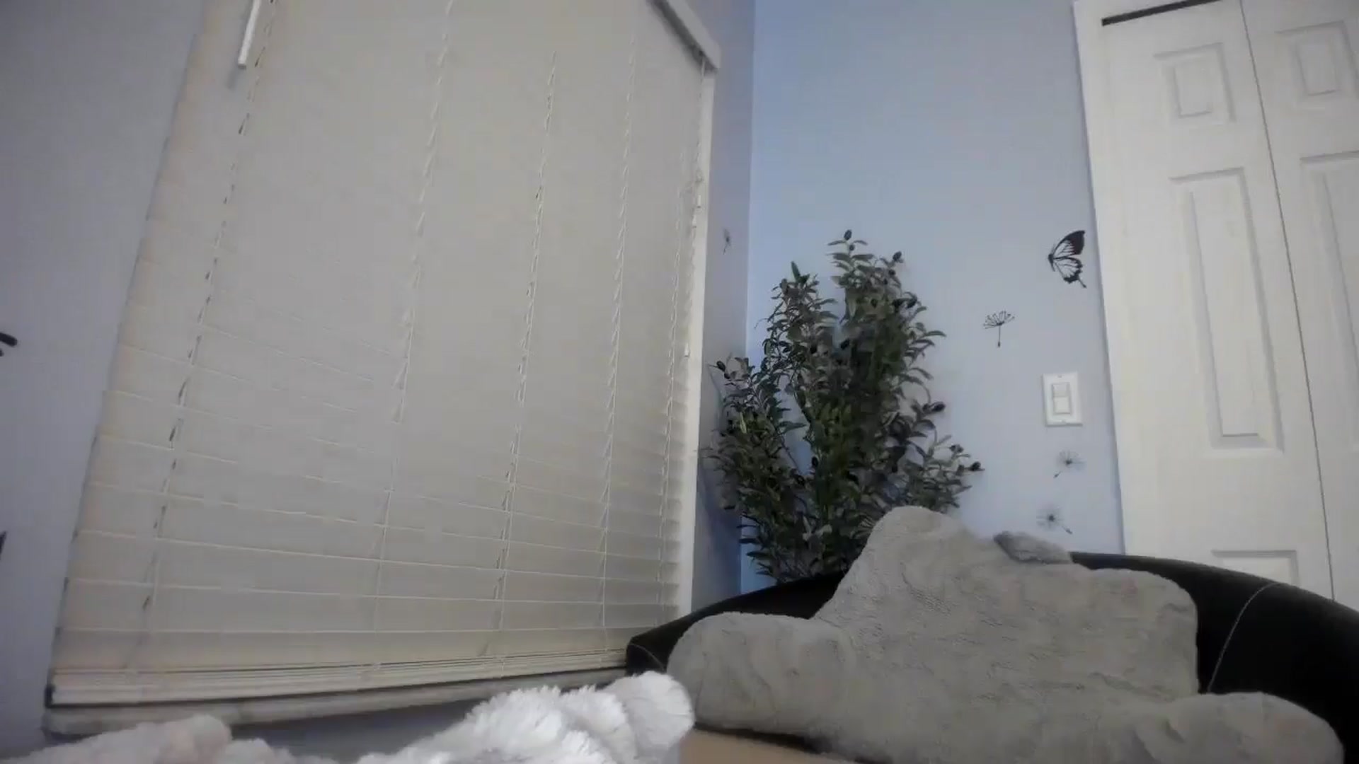 Gallery image thumbnail from Downloads's myfreecams stream on, 07/03/2025, 07:08 image 15 of 20