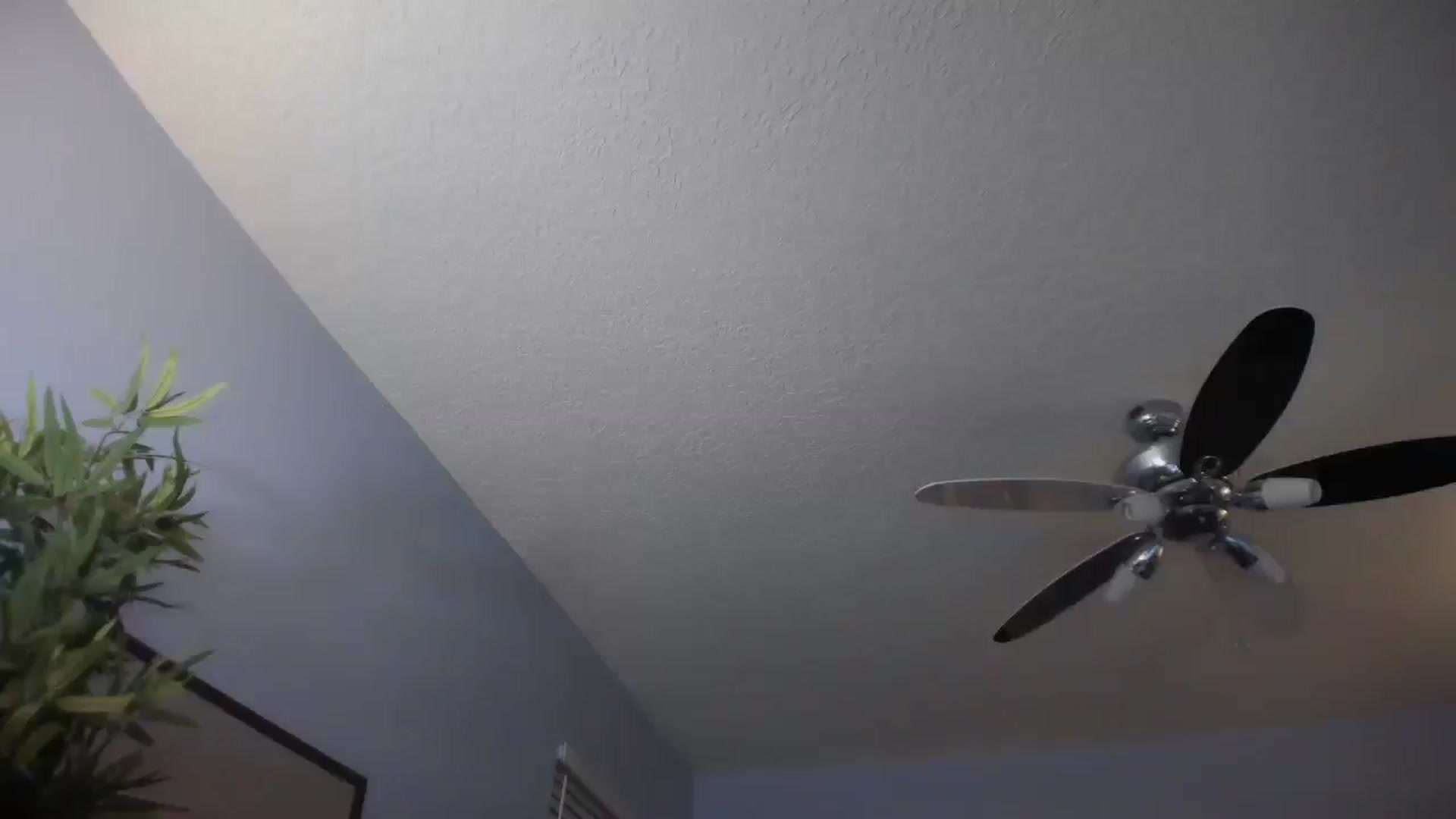 Gallery image thumbnail from Downloads's myfreecams stream on, 07/04/2025, 07:54 image 4 of 20