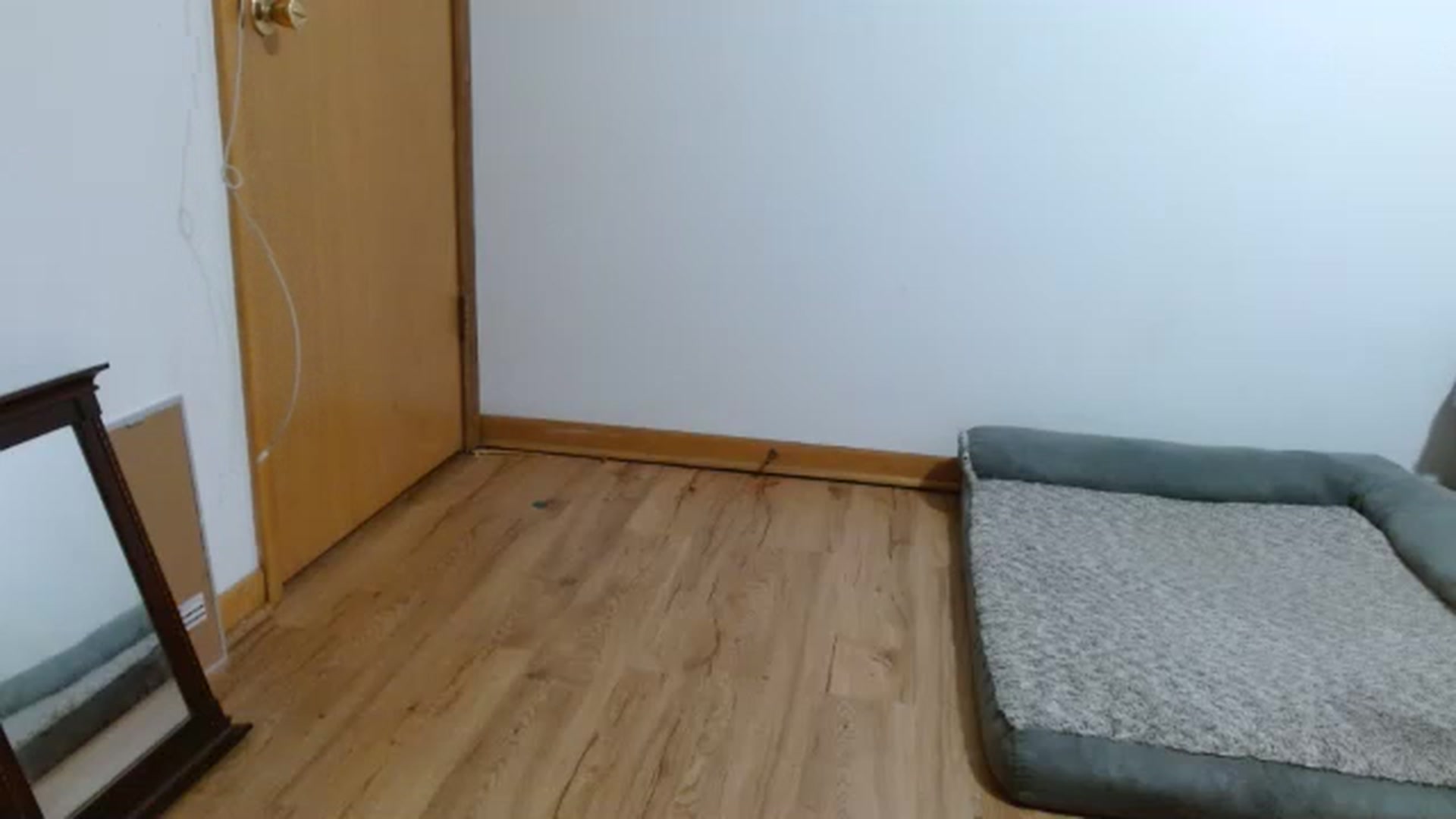 Gallery image thumbnail from Dramabomb's myfreecams stream on, 11/17/2022, 19:57 image 13 of 20