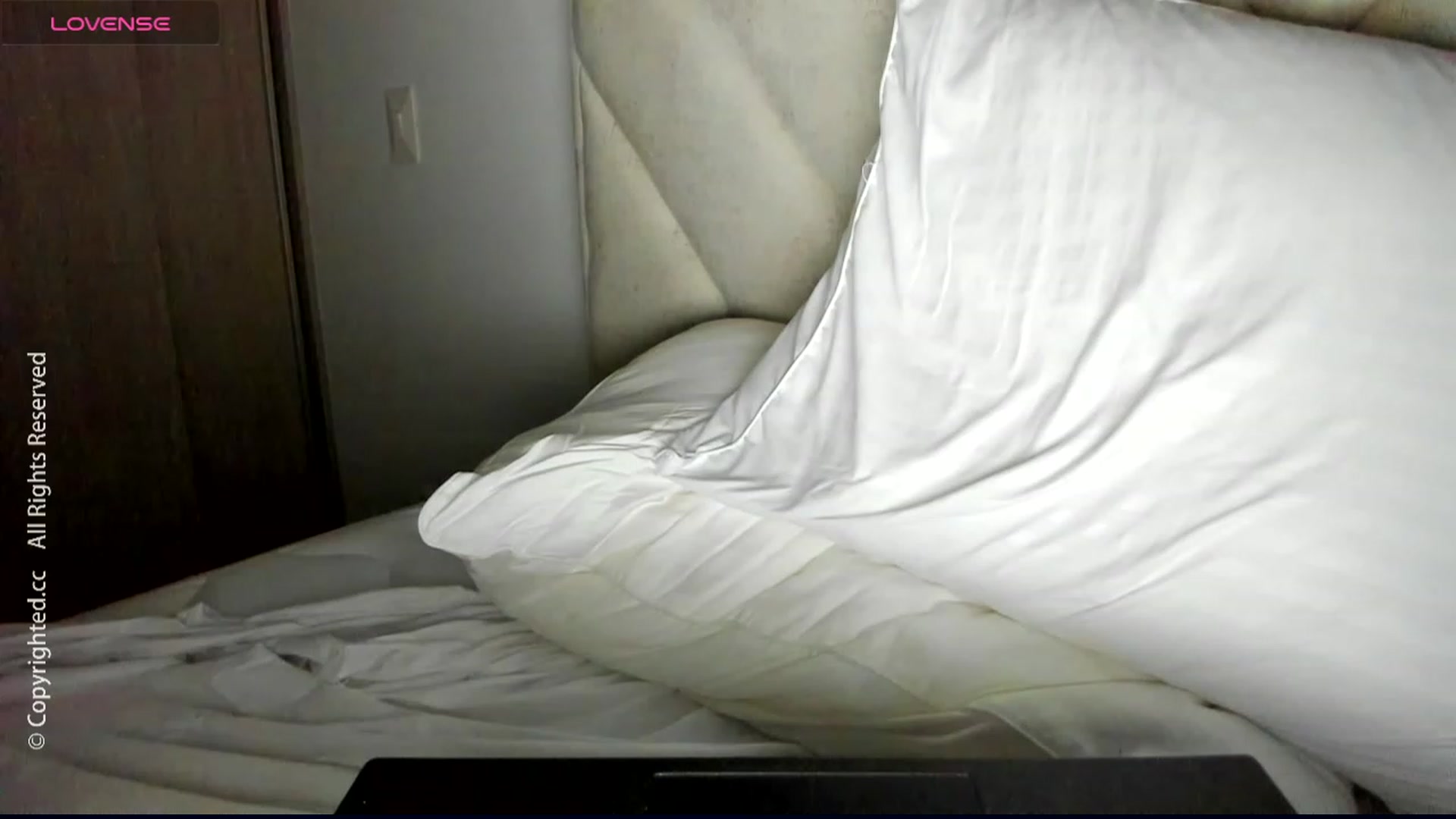 Gallery image thumbnail from DreamAI__'s myfreecams stream on, 12/24/2023, 23:49 image 3 of 20