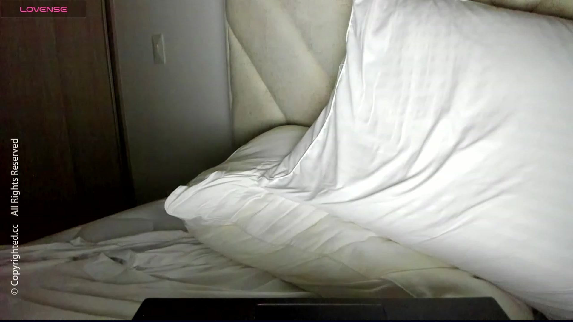Gallery image thumbnail from DreamAI__'s myfreecams stream on, 12/24/2023, 23:49 image 12 of 20