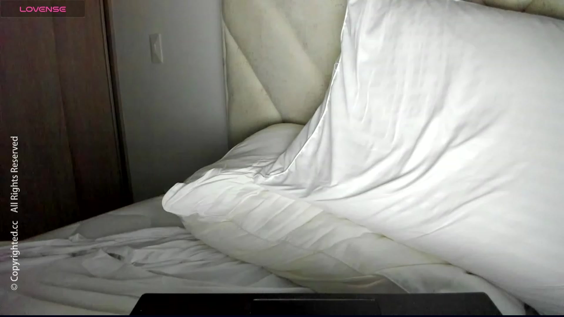 Gallery image thumbnail from DreamAI__'s myfreecams stream on, 12/24/2023, 23:49 image 1 of 20