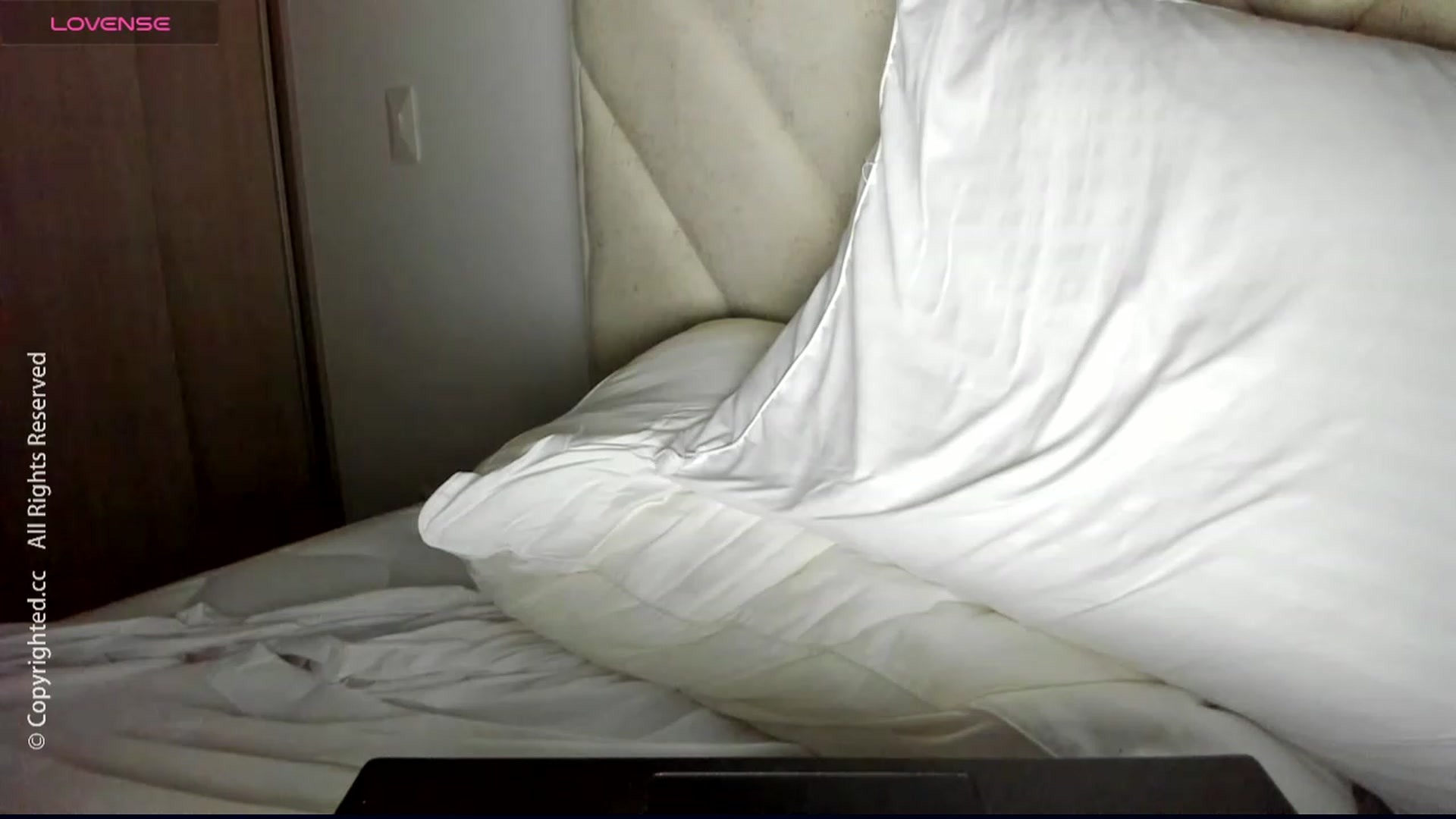 Gallery image thumbnail from DreamAI__'s myfreecams stream on, 12/24/2023, 23:49 image 2 of 20