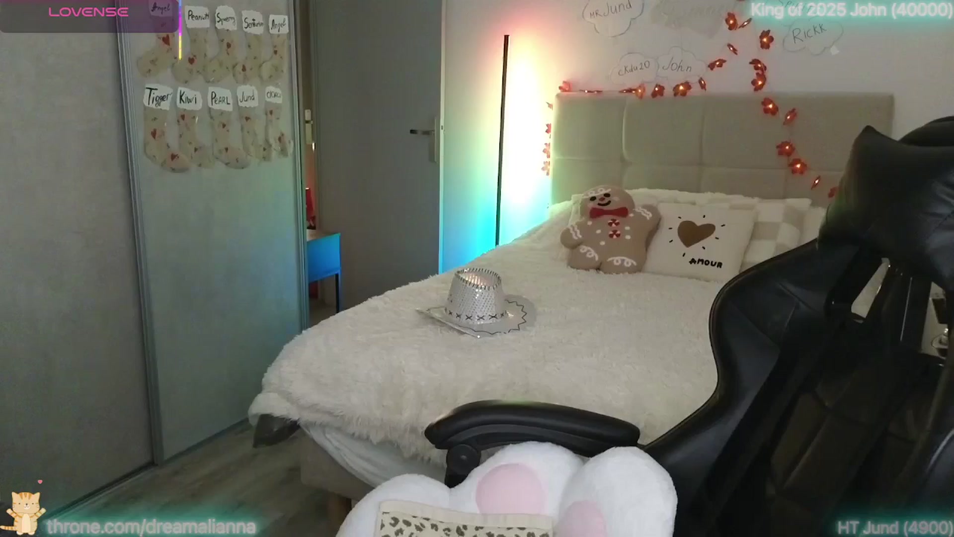 Gallery image thumbnail from DreamAlianna's myfreecams stream on, 12/29/2025, 02:37 image 12 of 20